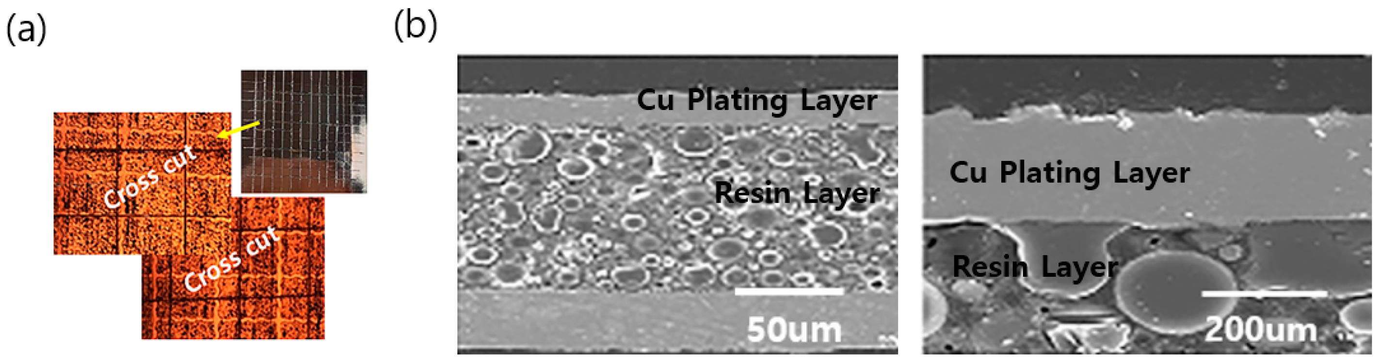 Coatings 12 00612 g008 550