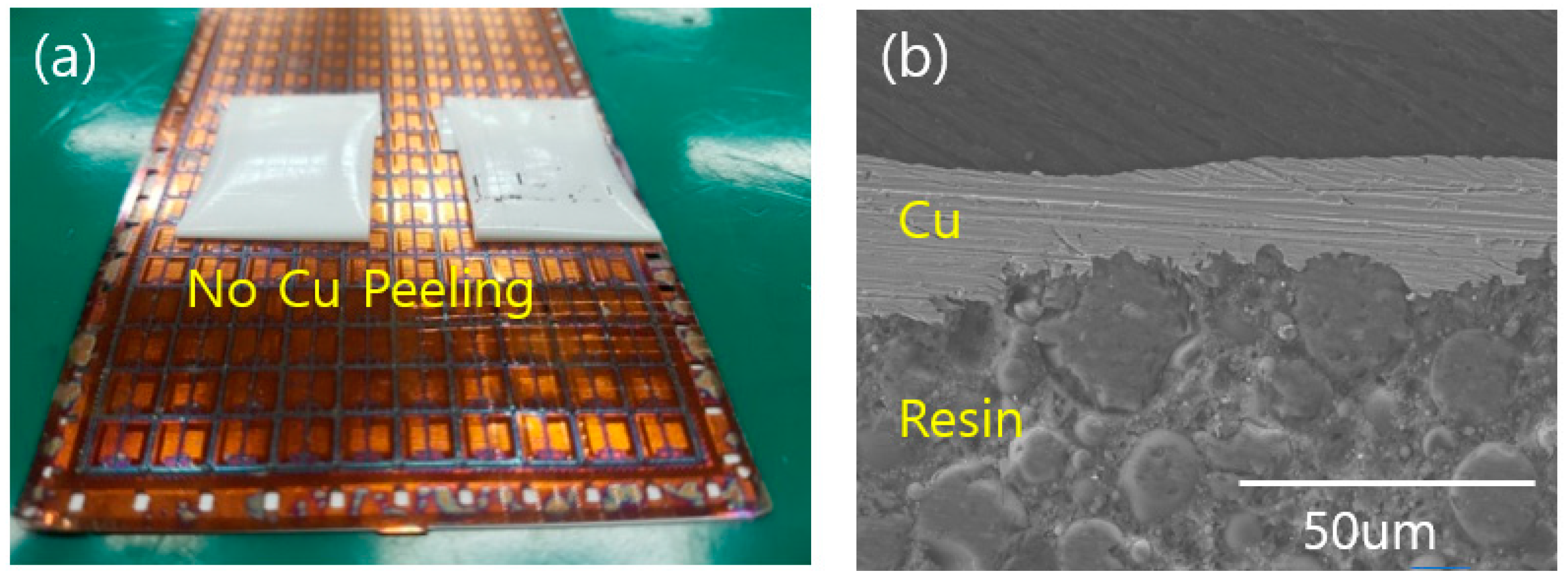 Coatings 12 00612 g010 550