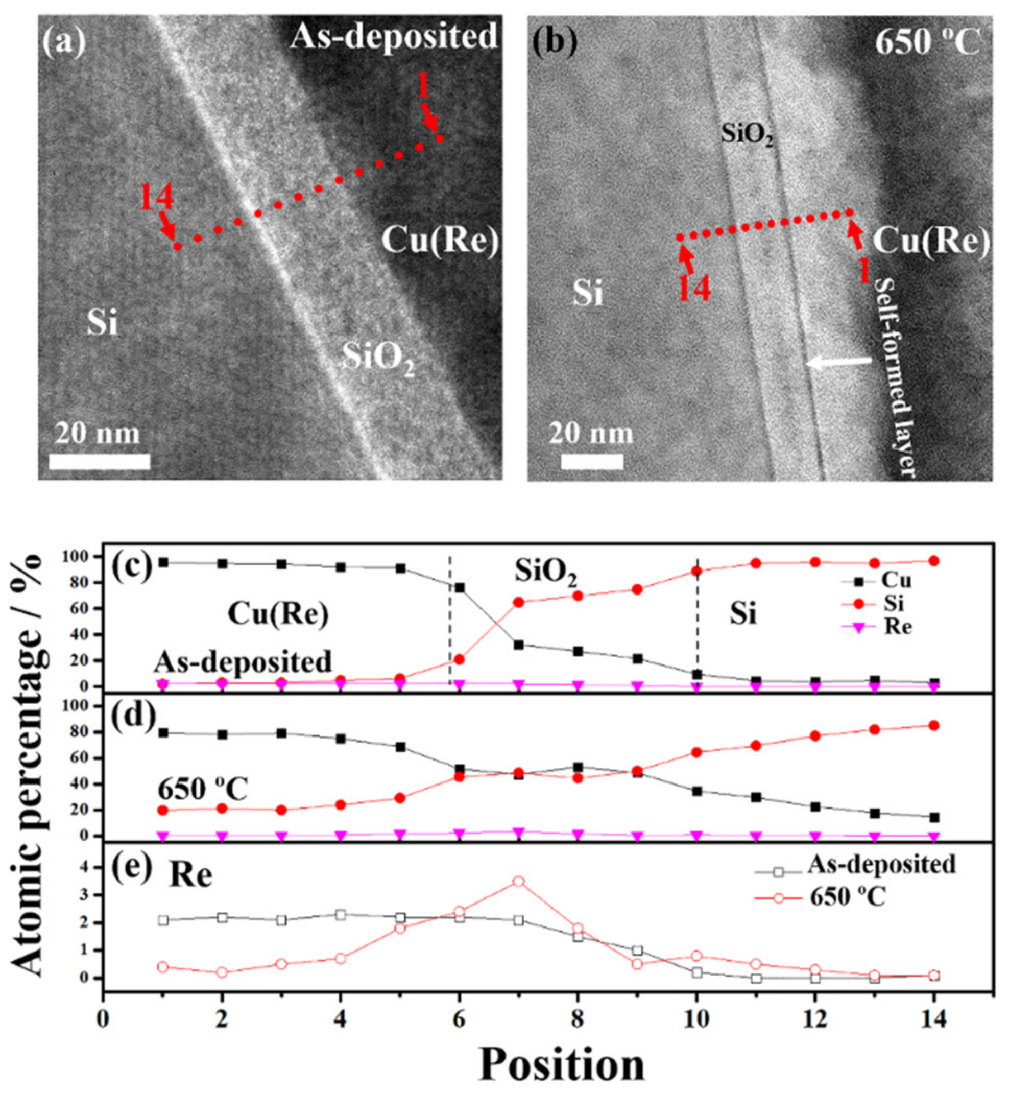 Coatings 12 00613 g004