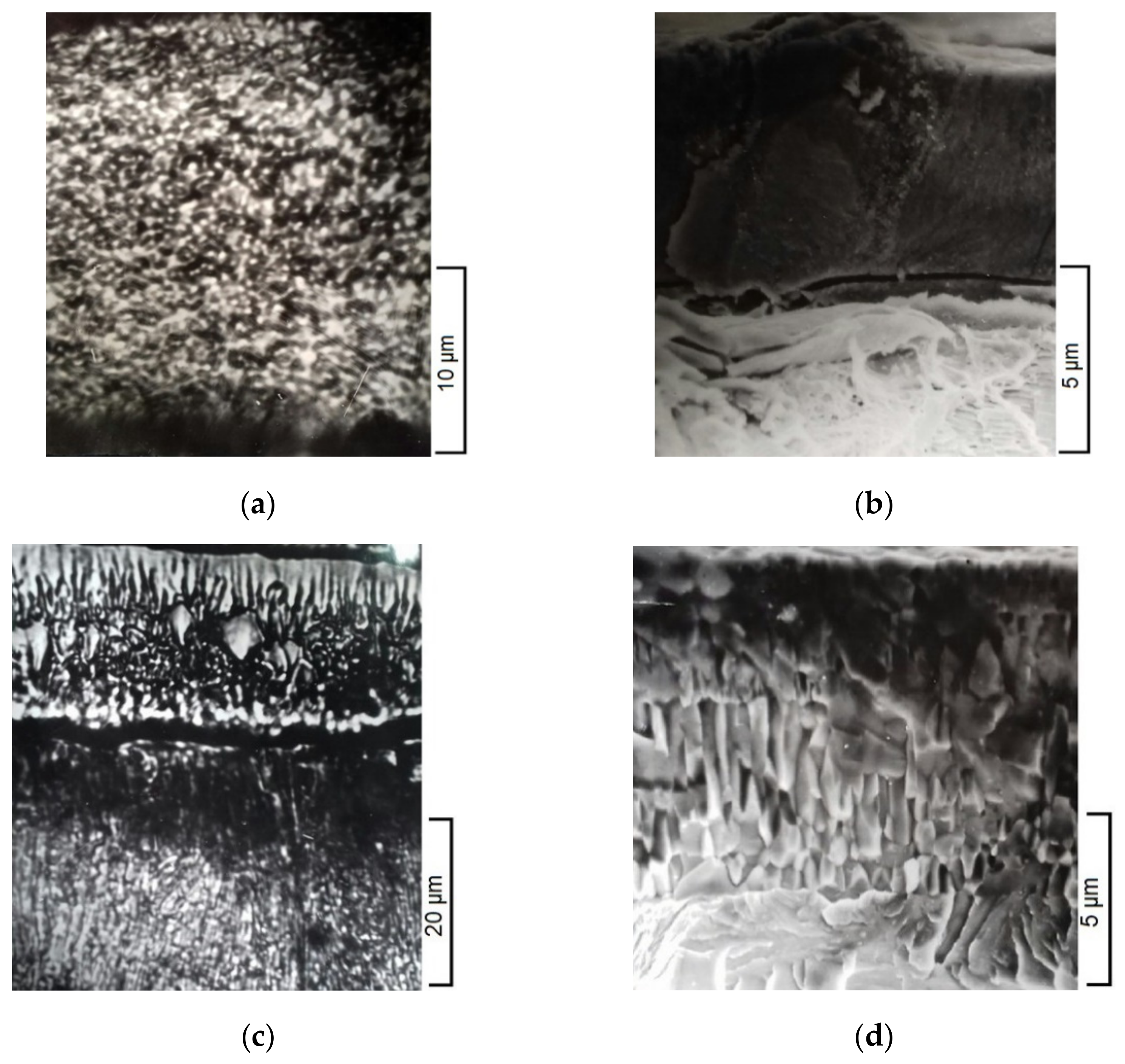 Coatings 12 00616 g001
