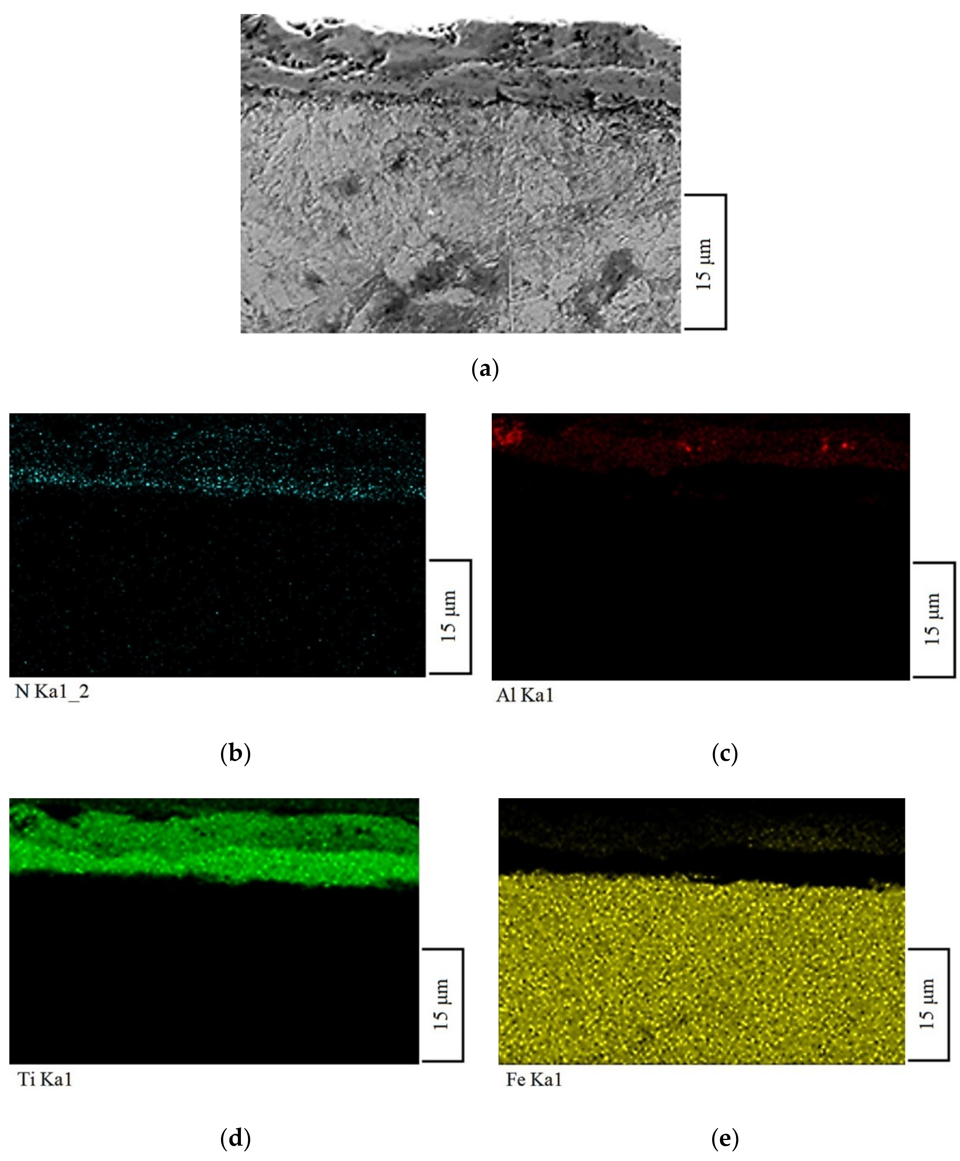 Coatings 12 00616 g005