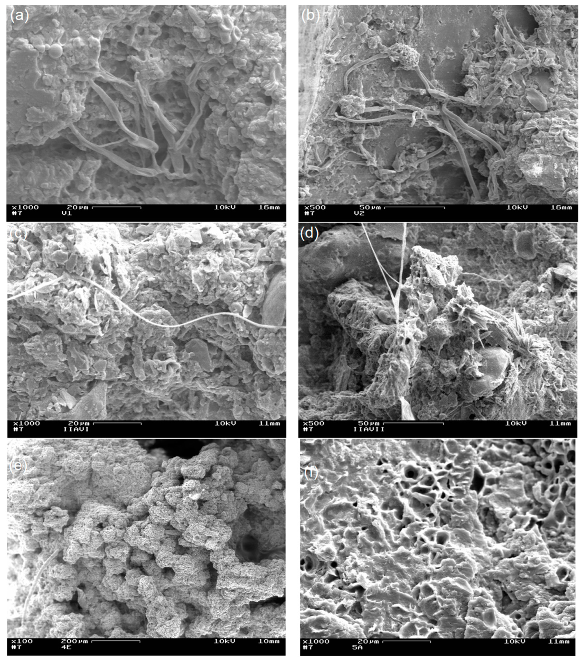 Coatings 12 00617 g007 550