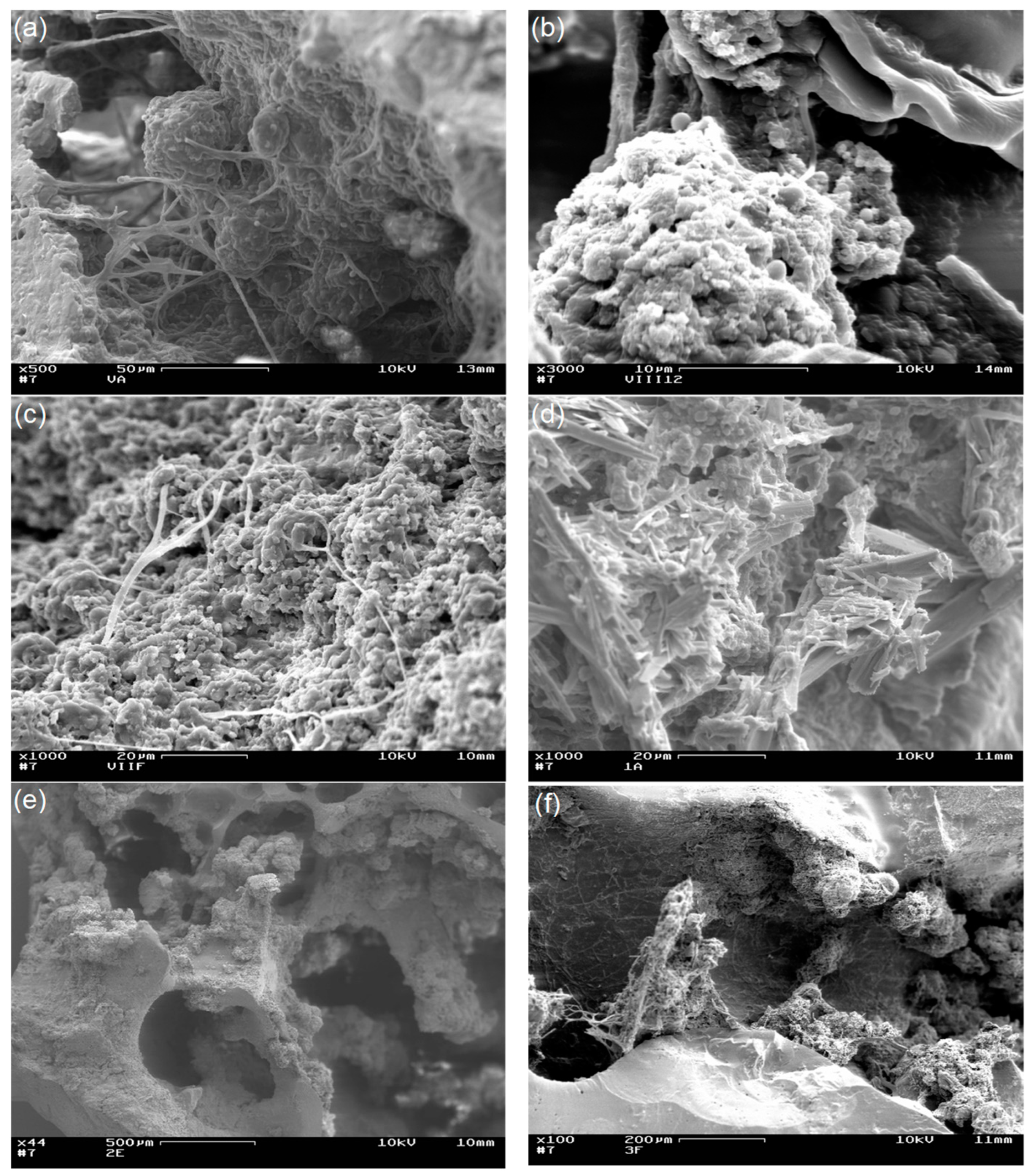 Coatings 12 00617 g008 550