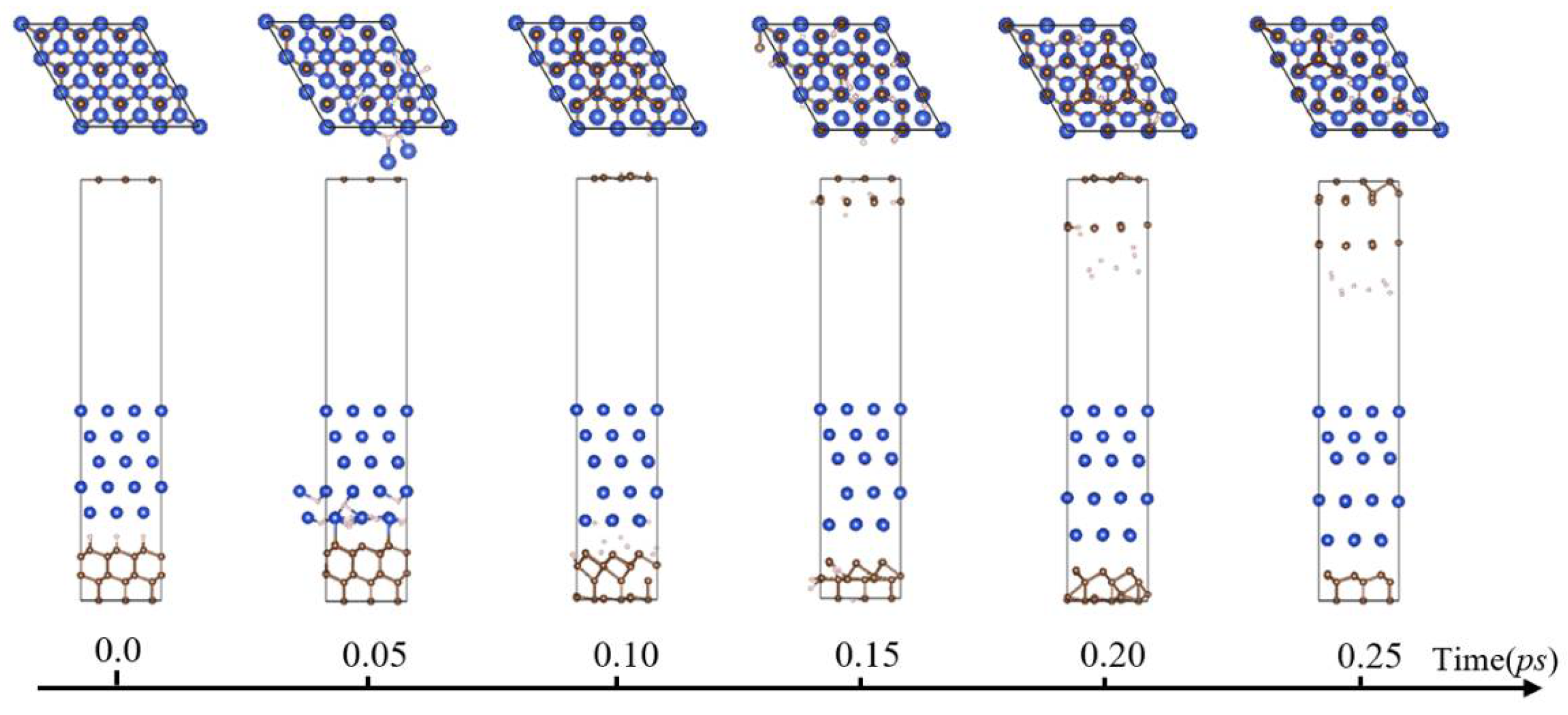 Coatings 12 00619 g007 550