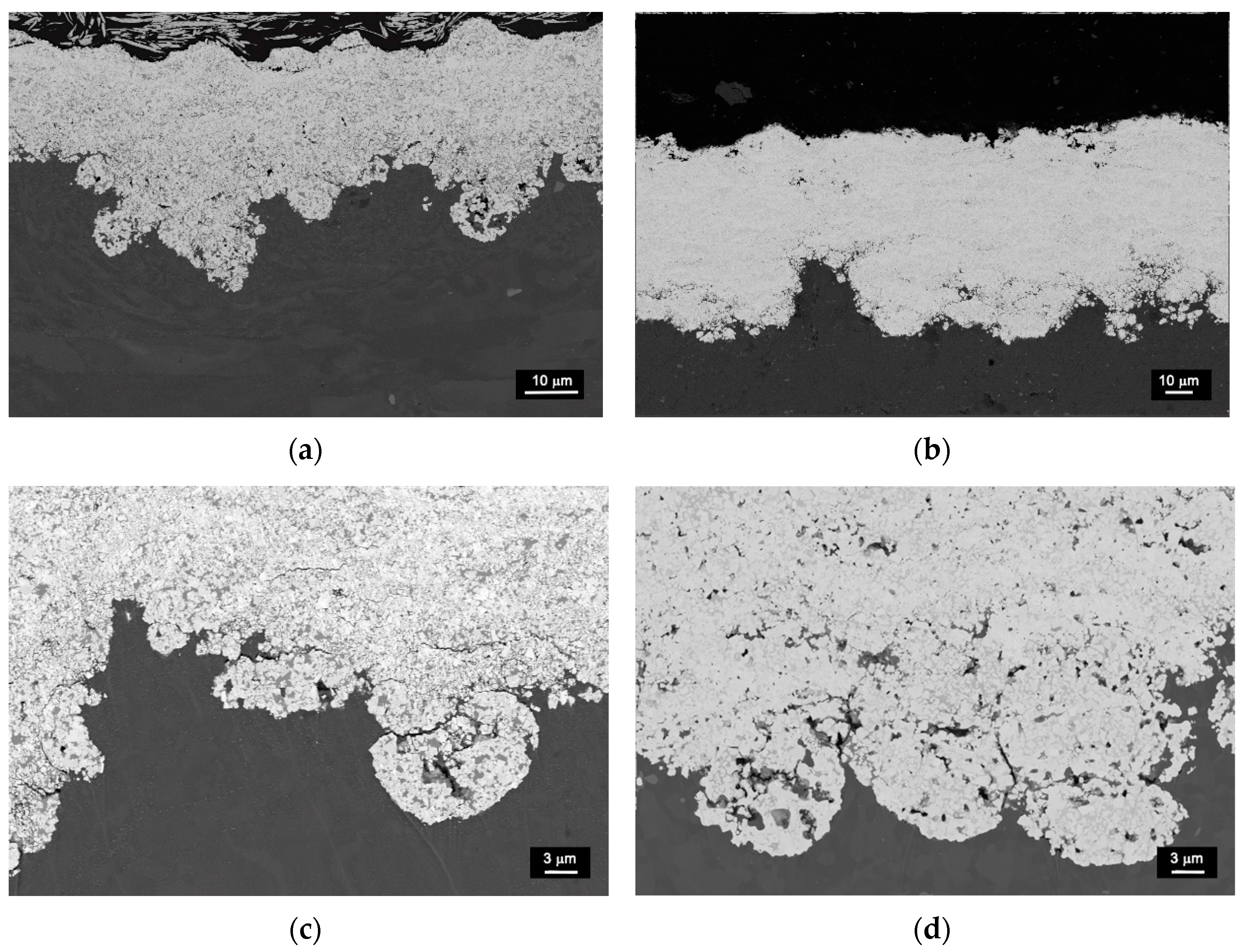 Coatings 12 00620 g003 550