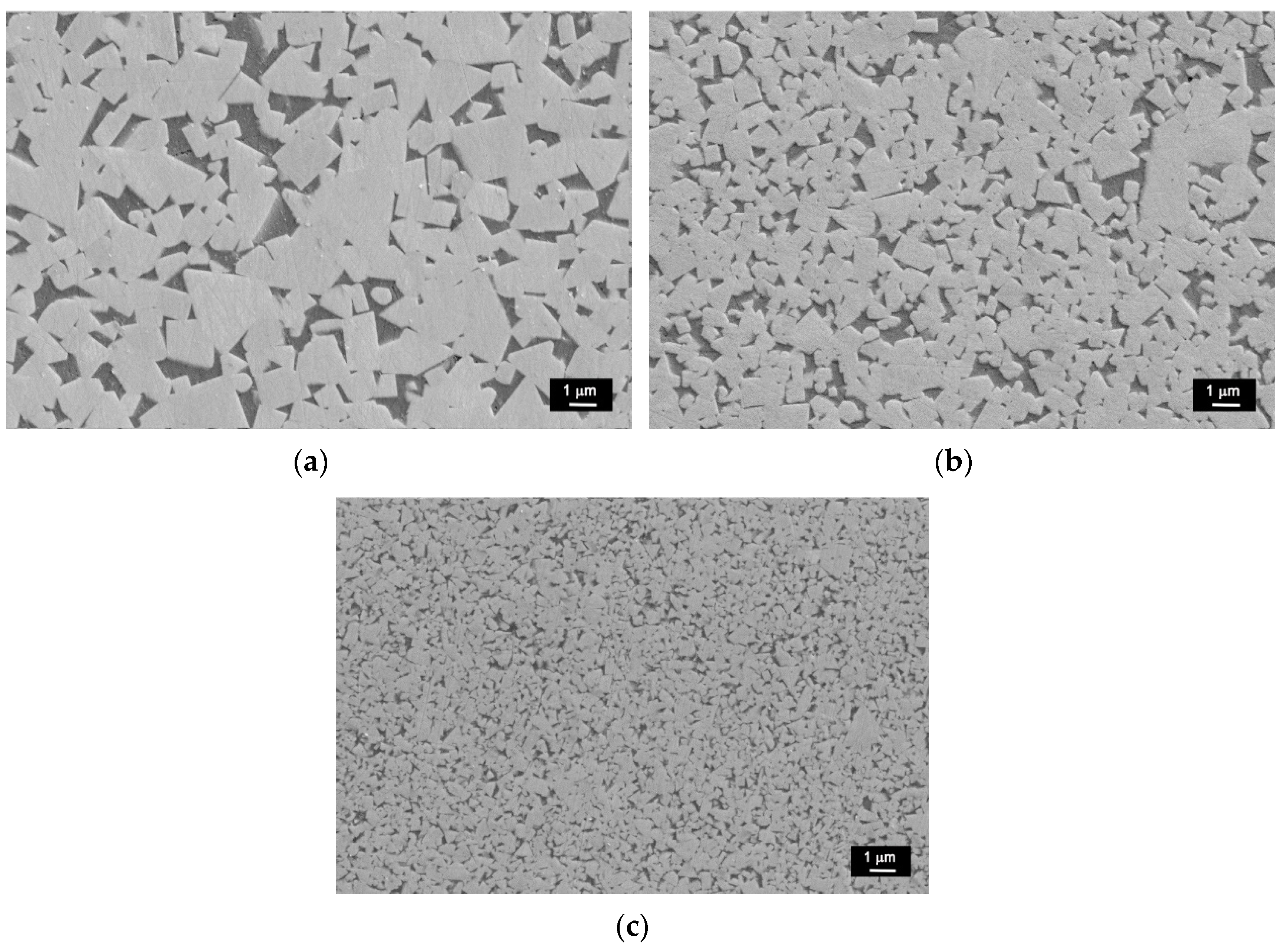 Coatings 12 00620 g005 550