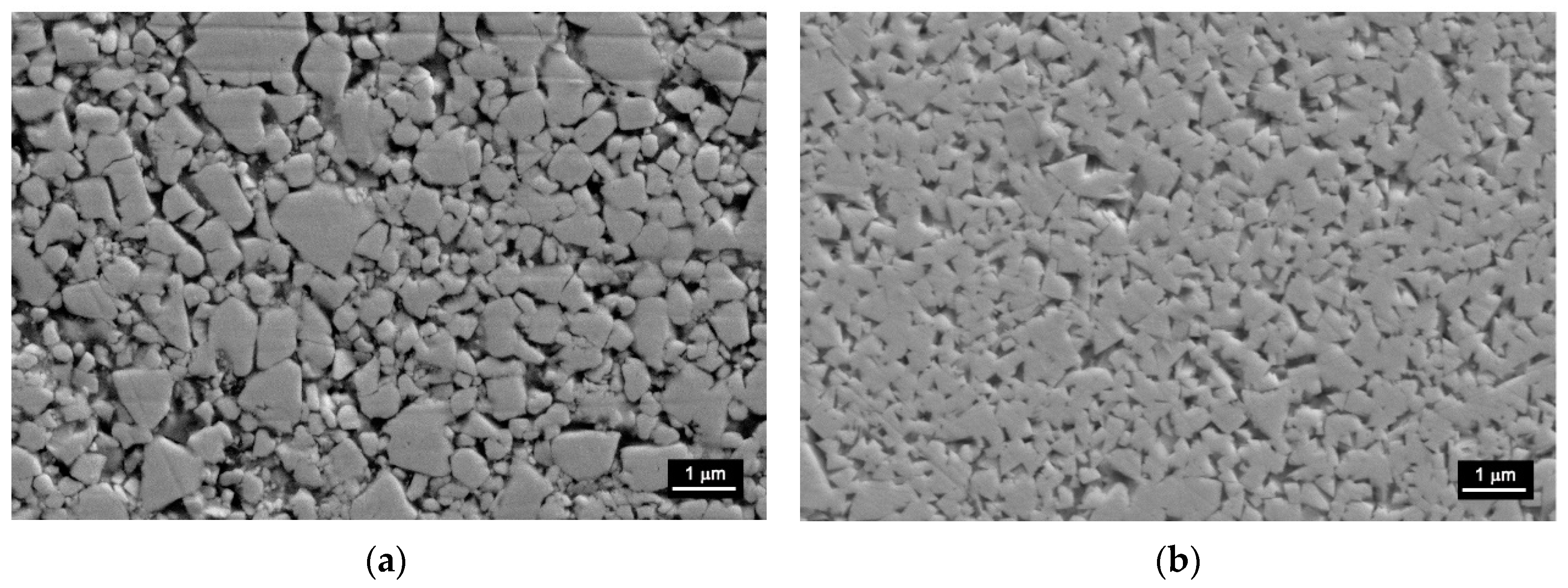 Coatings 12 00620 g010 550
