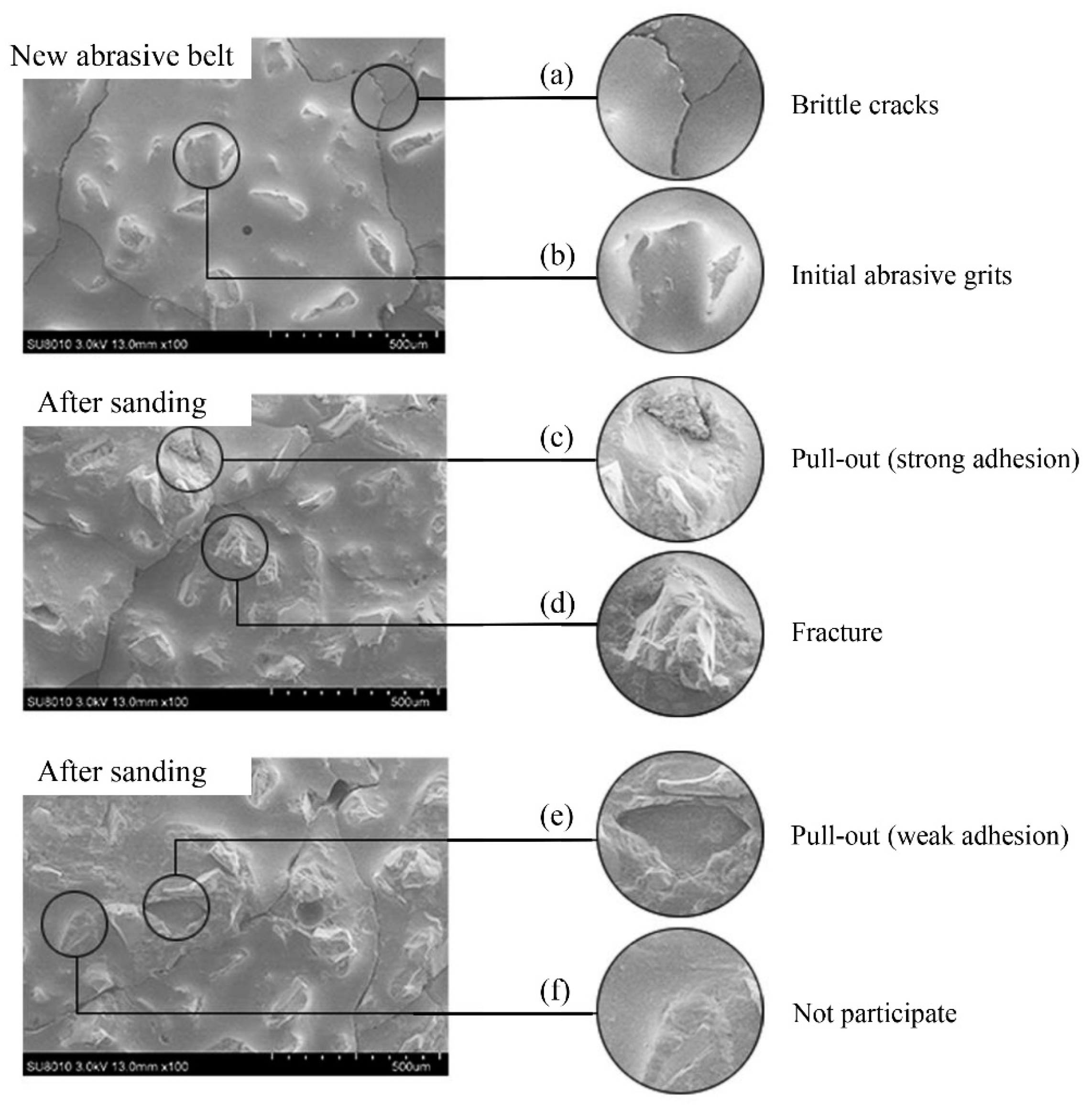 Coatings 12 00621 g006 550