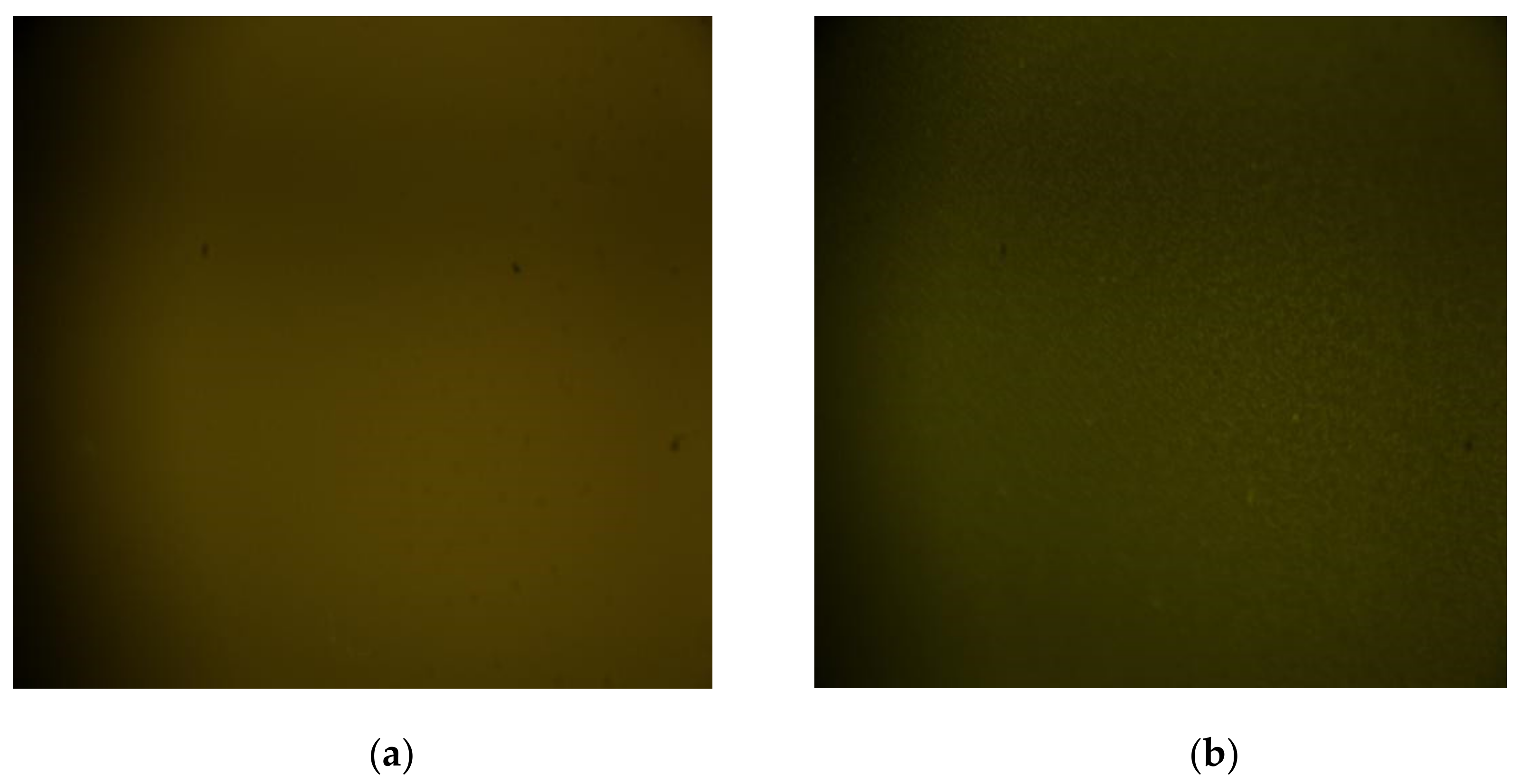 Coatings 12 00625 g003a