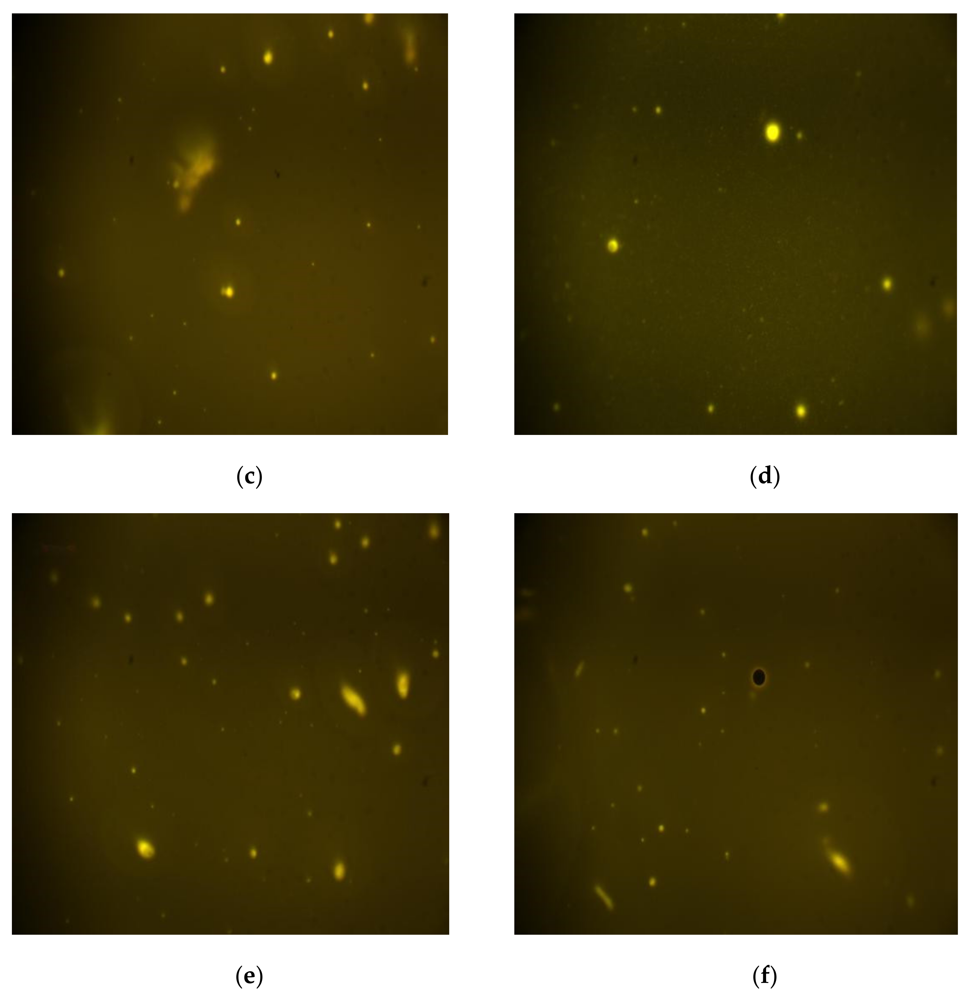 Coatings 12 00625 g003b