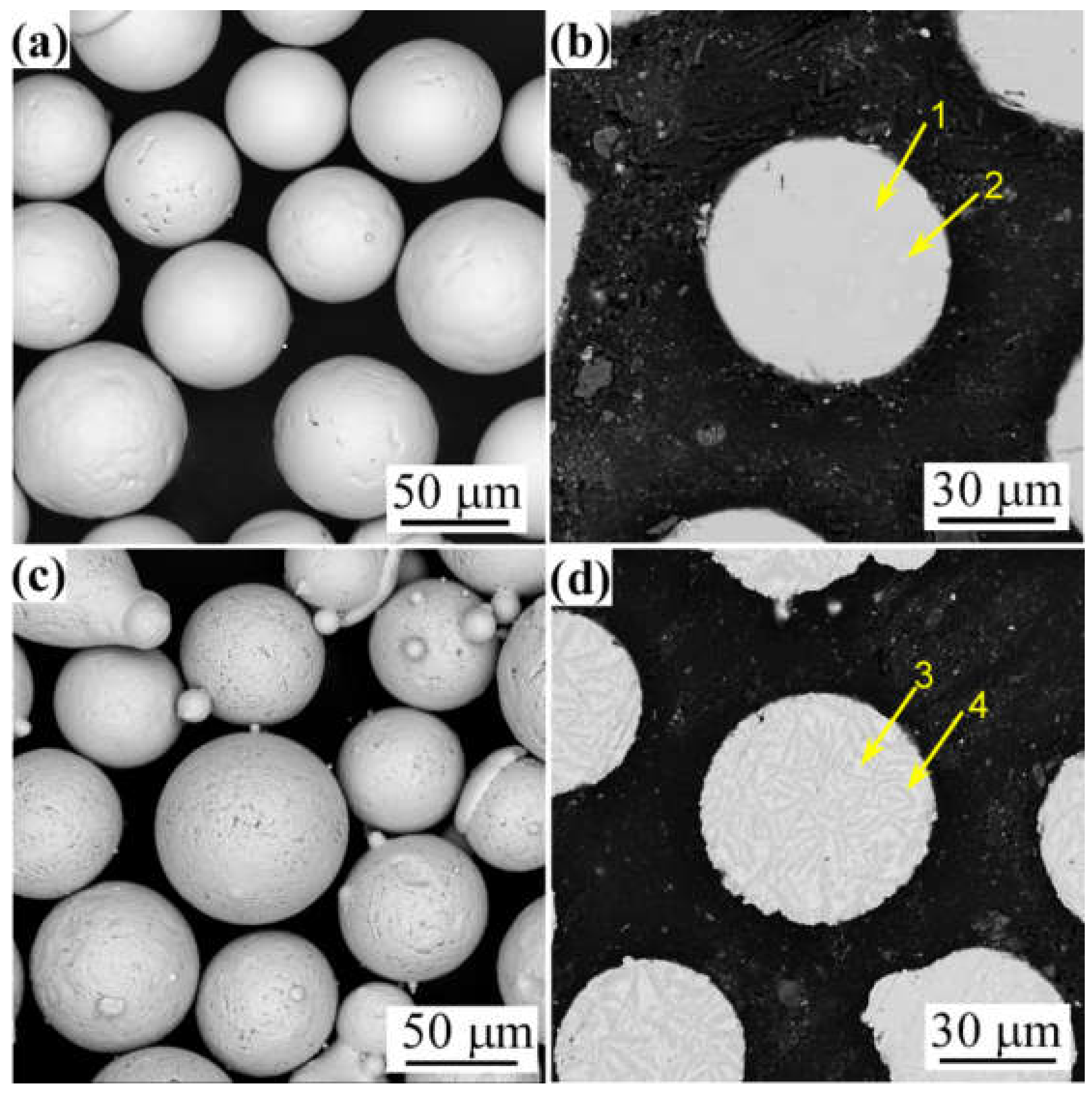 Coatings 12 00628 g002 550