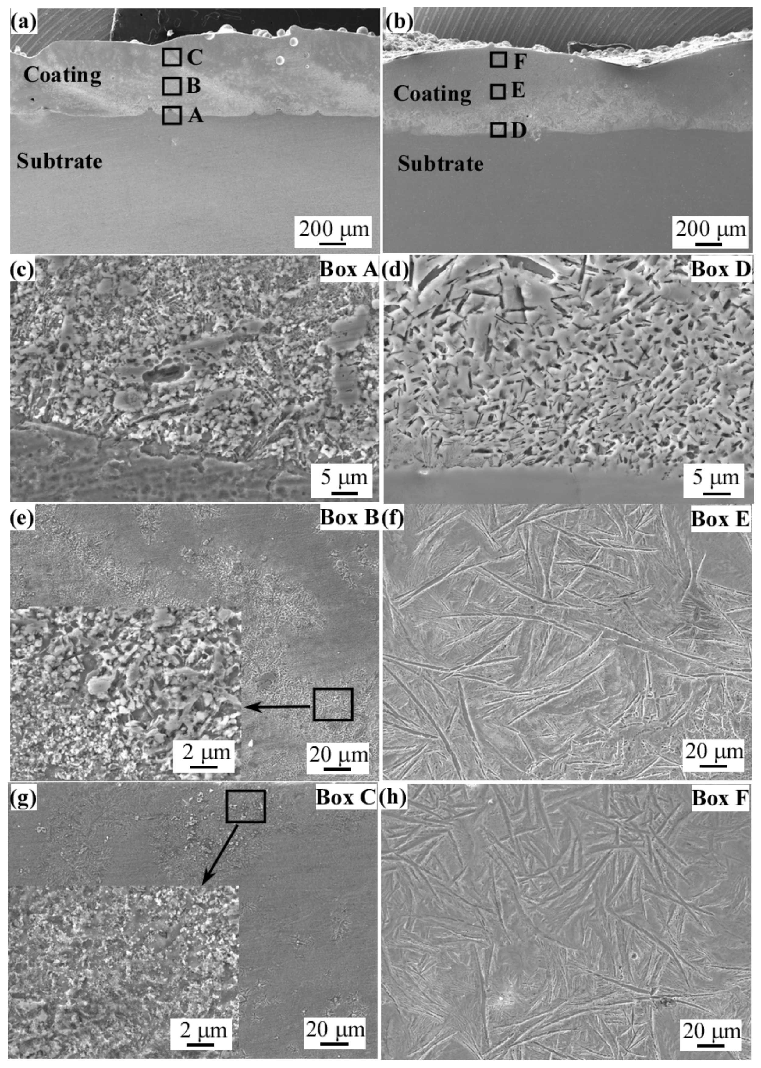 Coatings 12 00628 g004 550