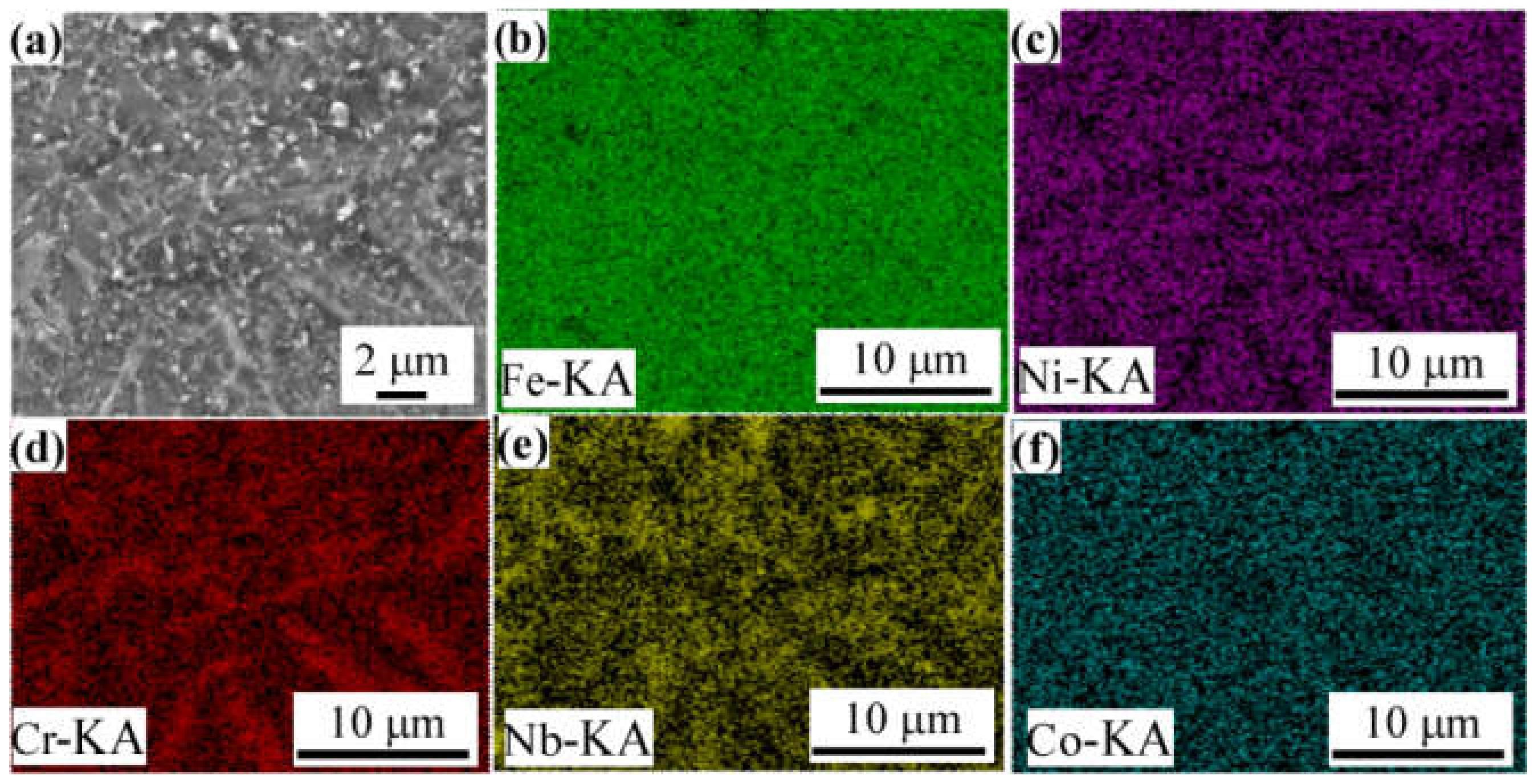 Coatings 12 00628 g005 550