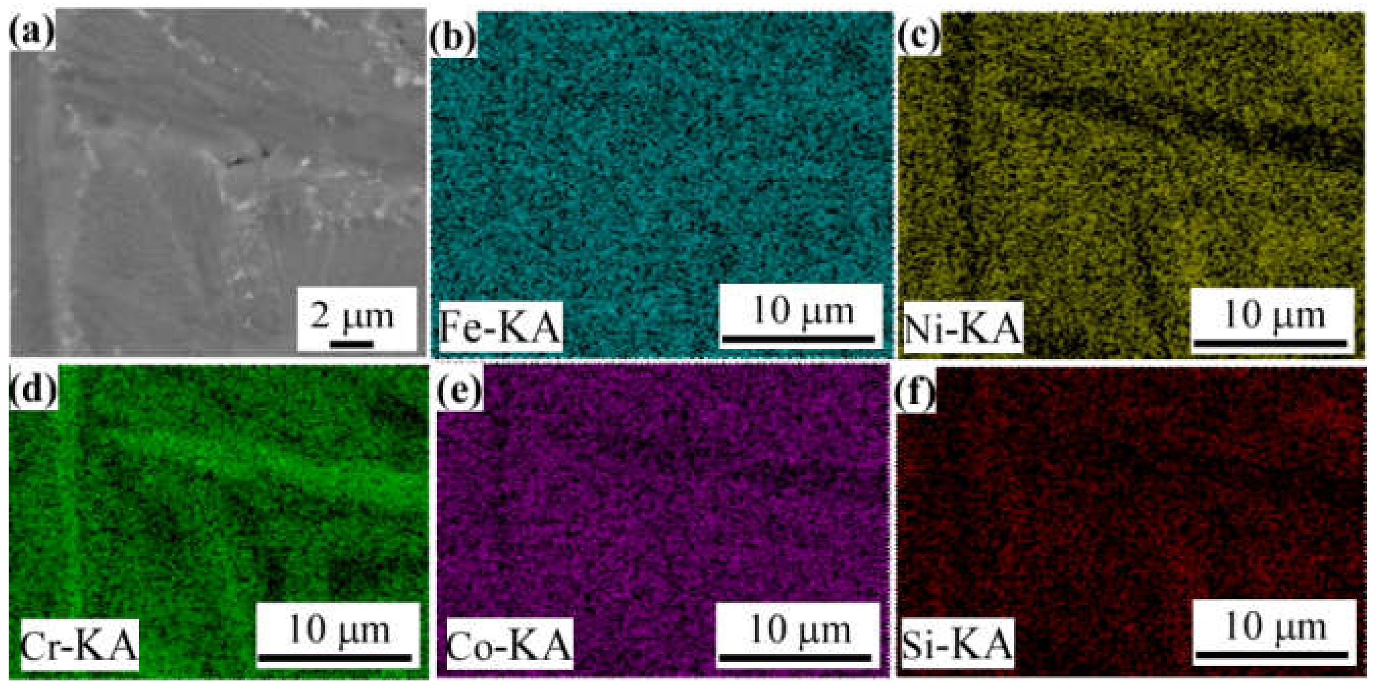 Coatings 12 00628 g006 550