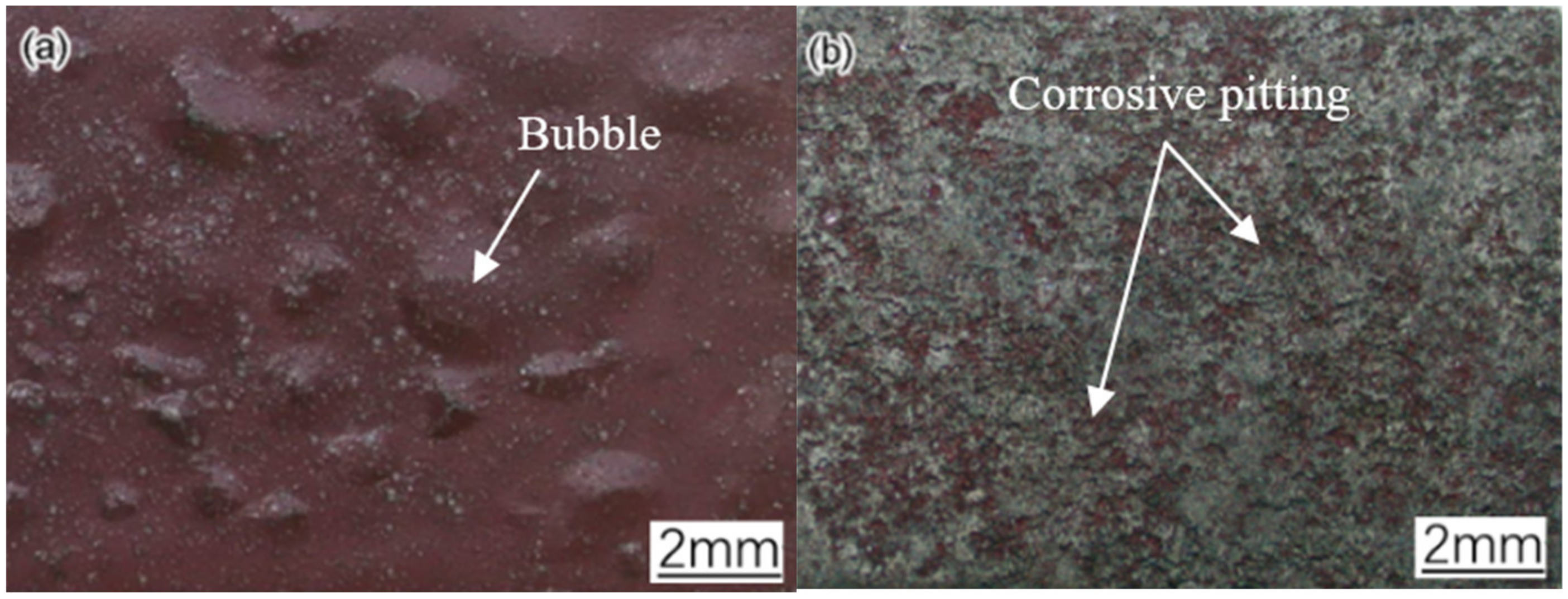 Coatings 12 00629 g009 550