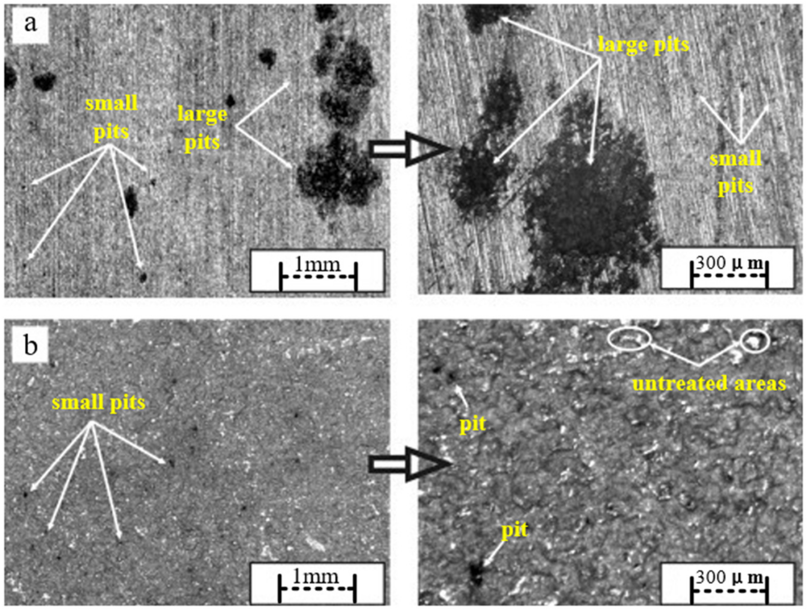 Coatings 12 00629 g011 550