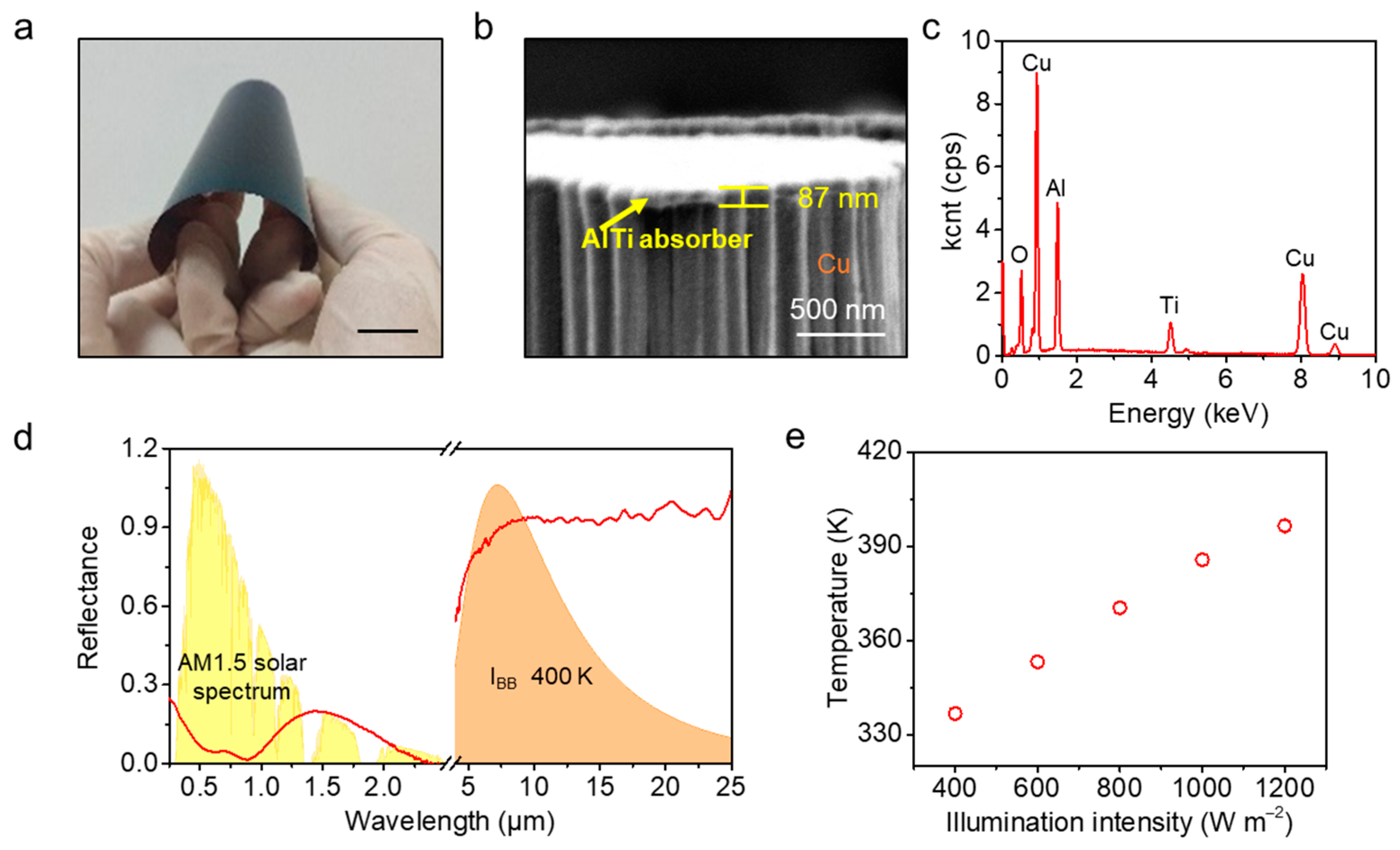 Coatings 12 00630 g002