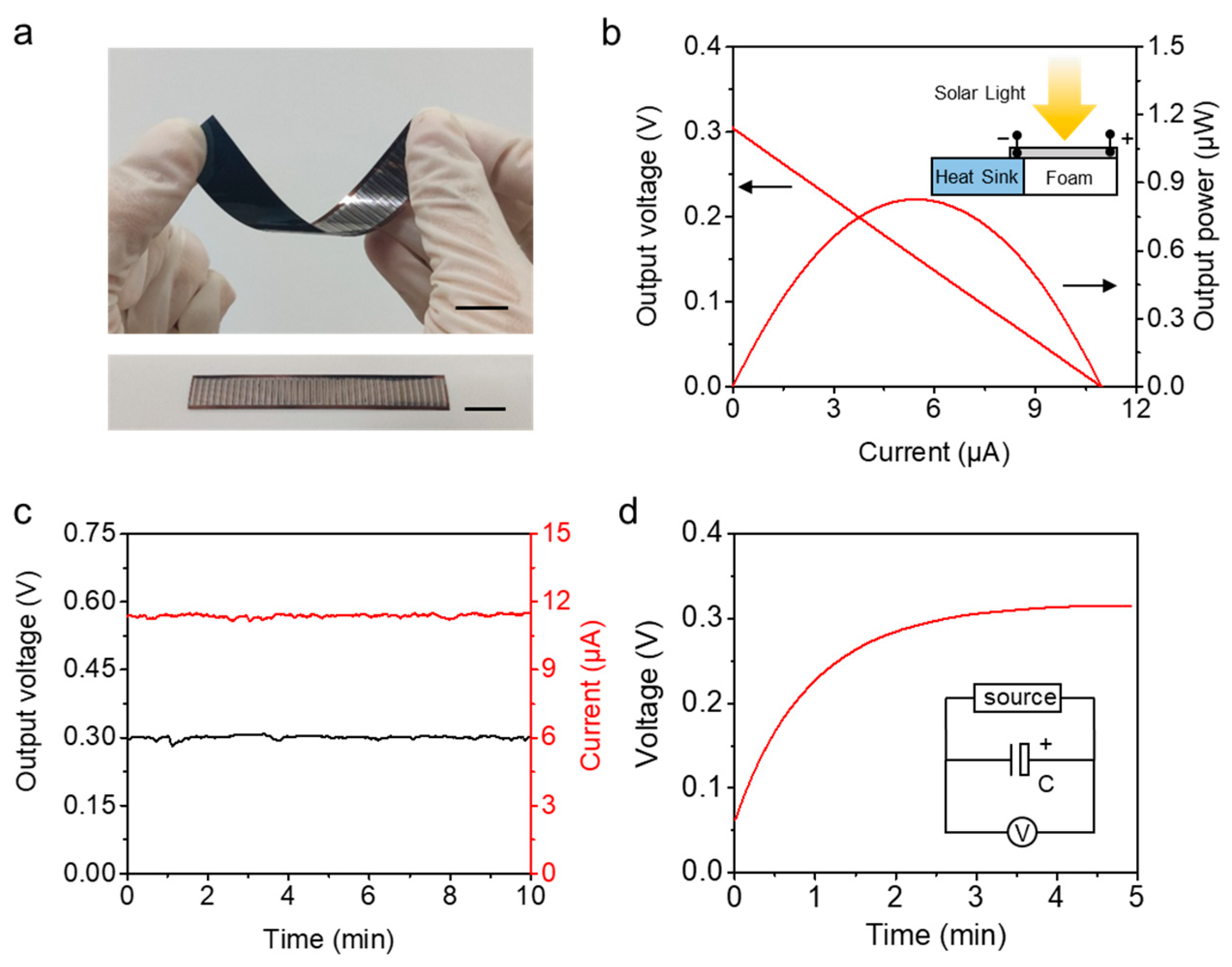 Coatings 12 00630 g005