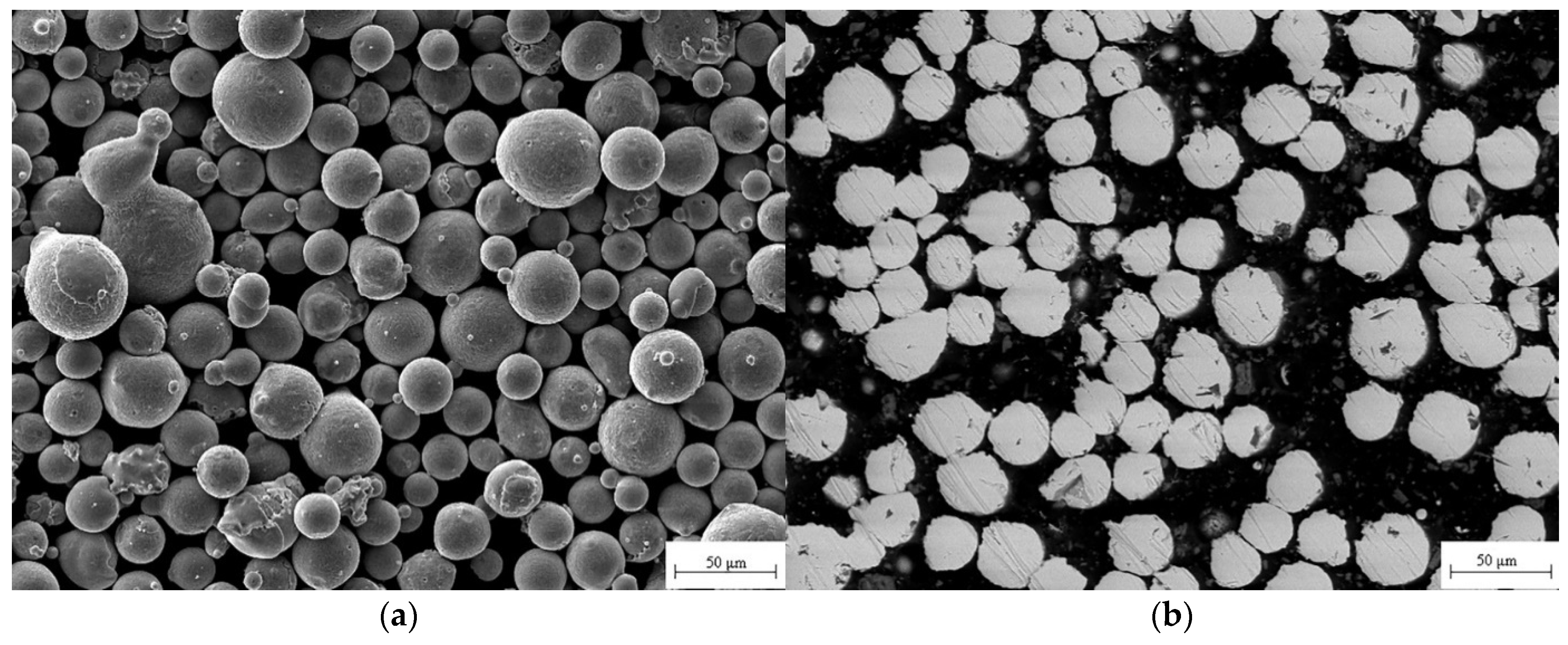 Coatings 12 00633 g001