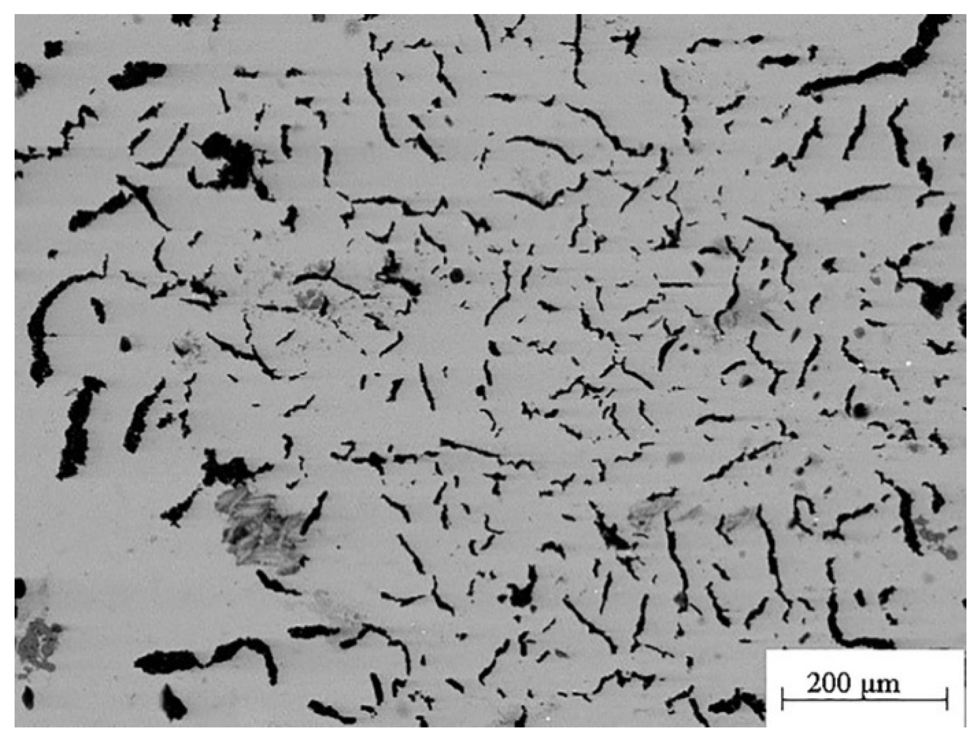 Coatings 12 00633 g003