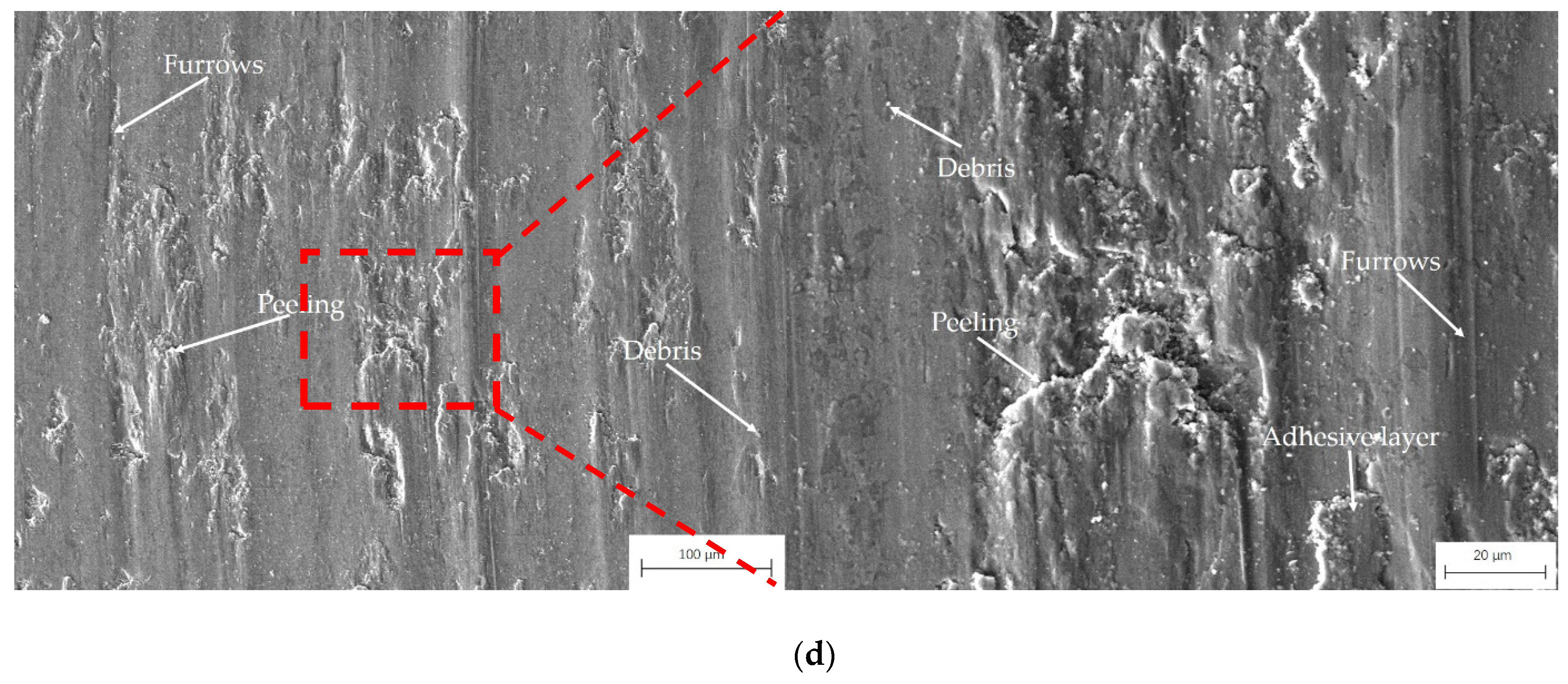 Coatings 12 00633 g011b