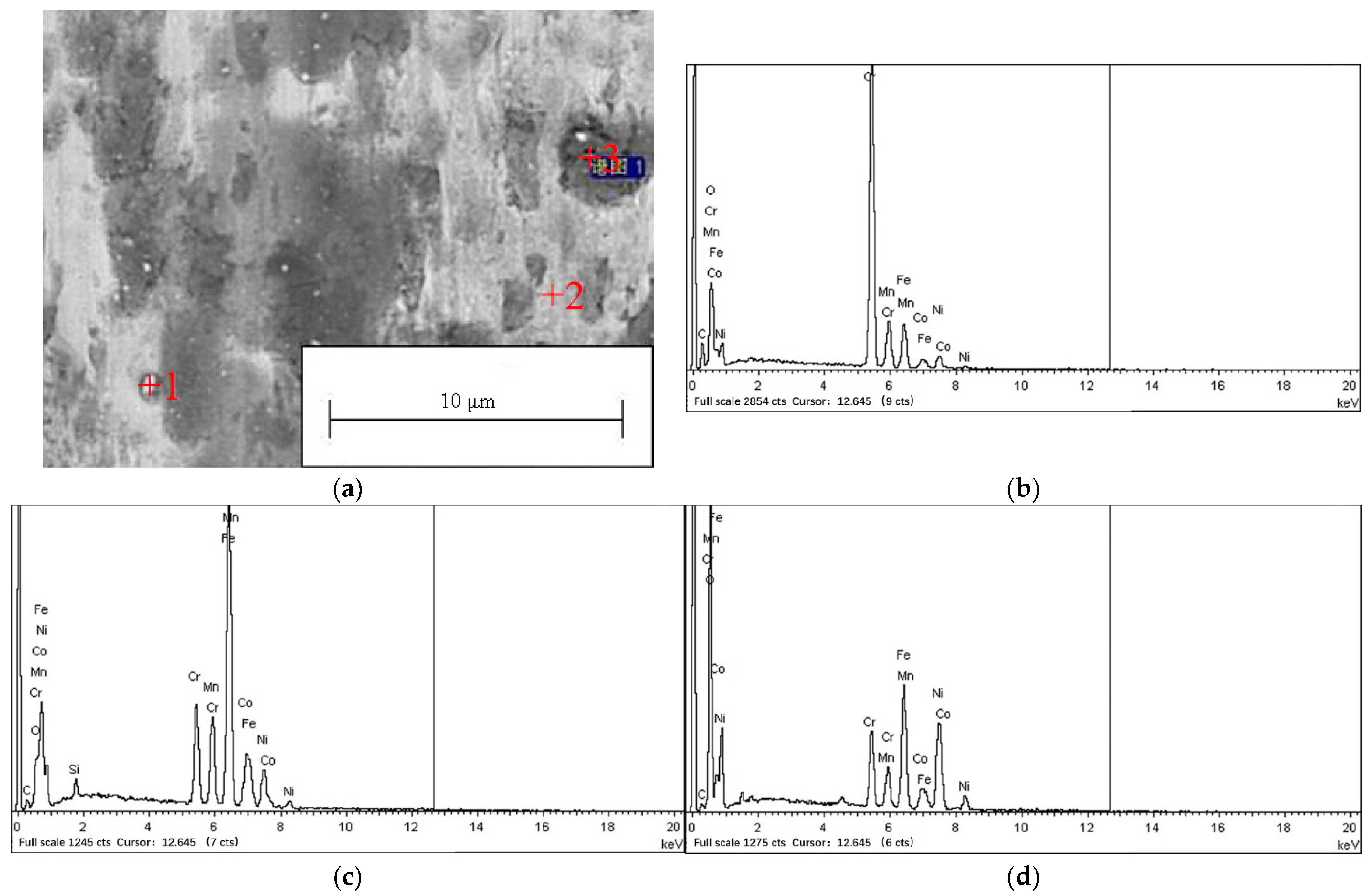 Coatings 12 00633 g014