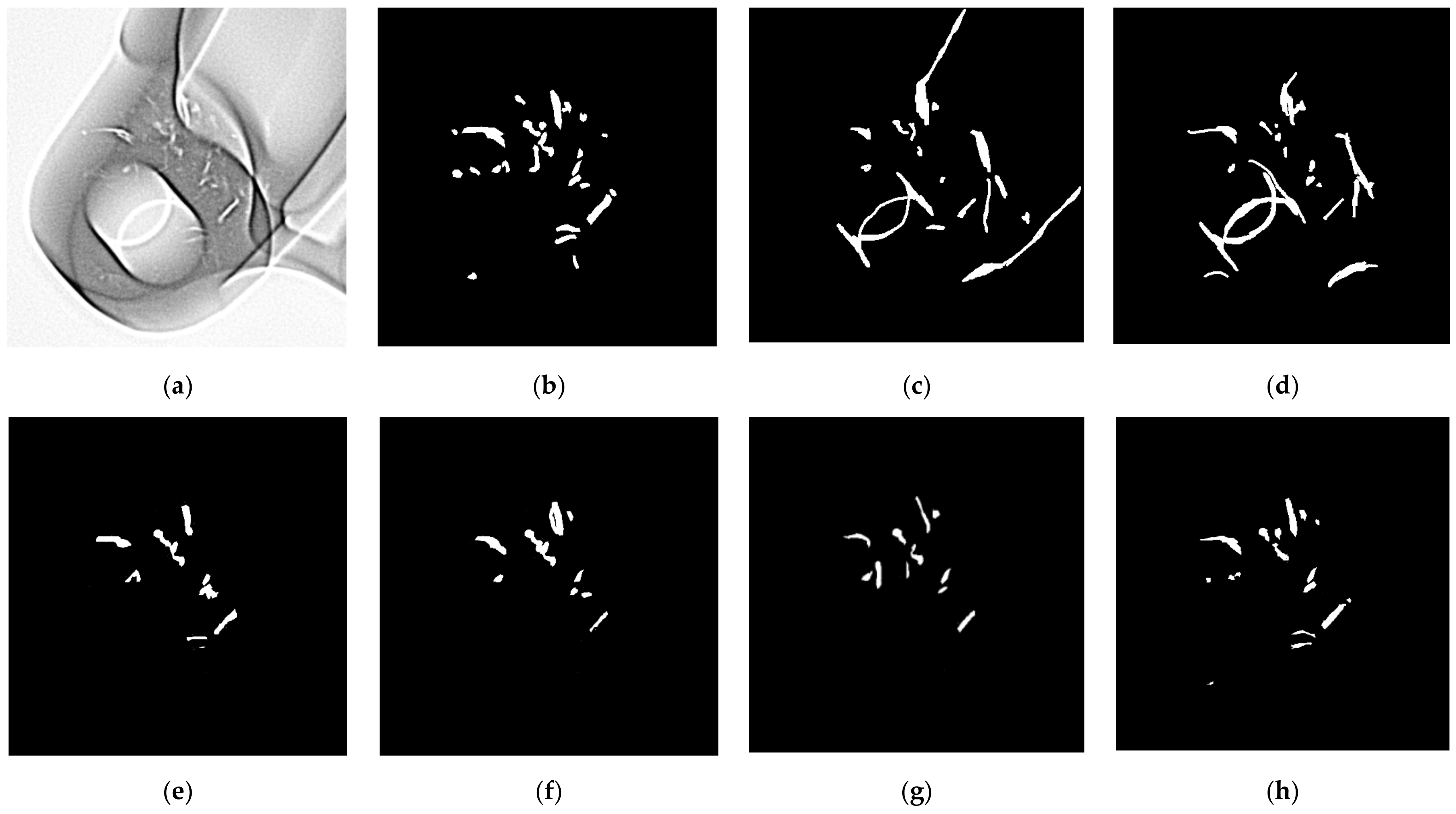 Coatings 12 00634 g010