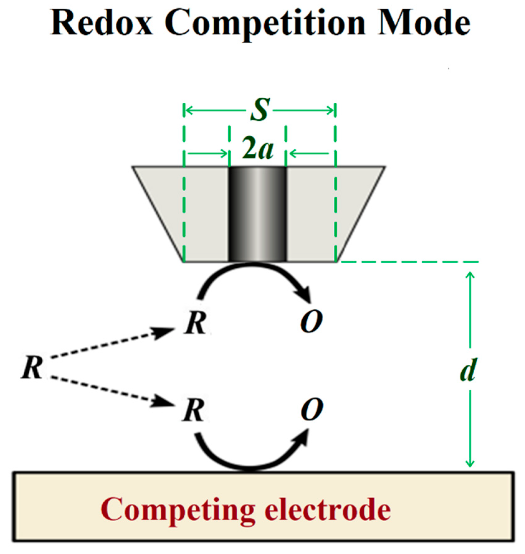 Coatings 12 00637 g007 550