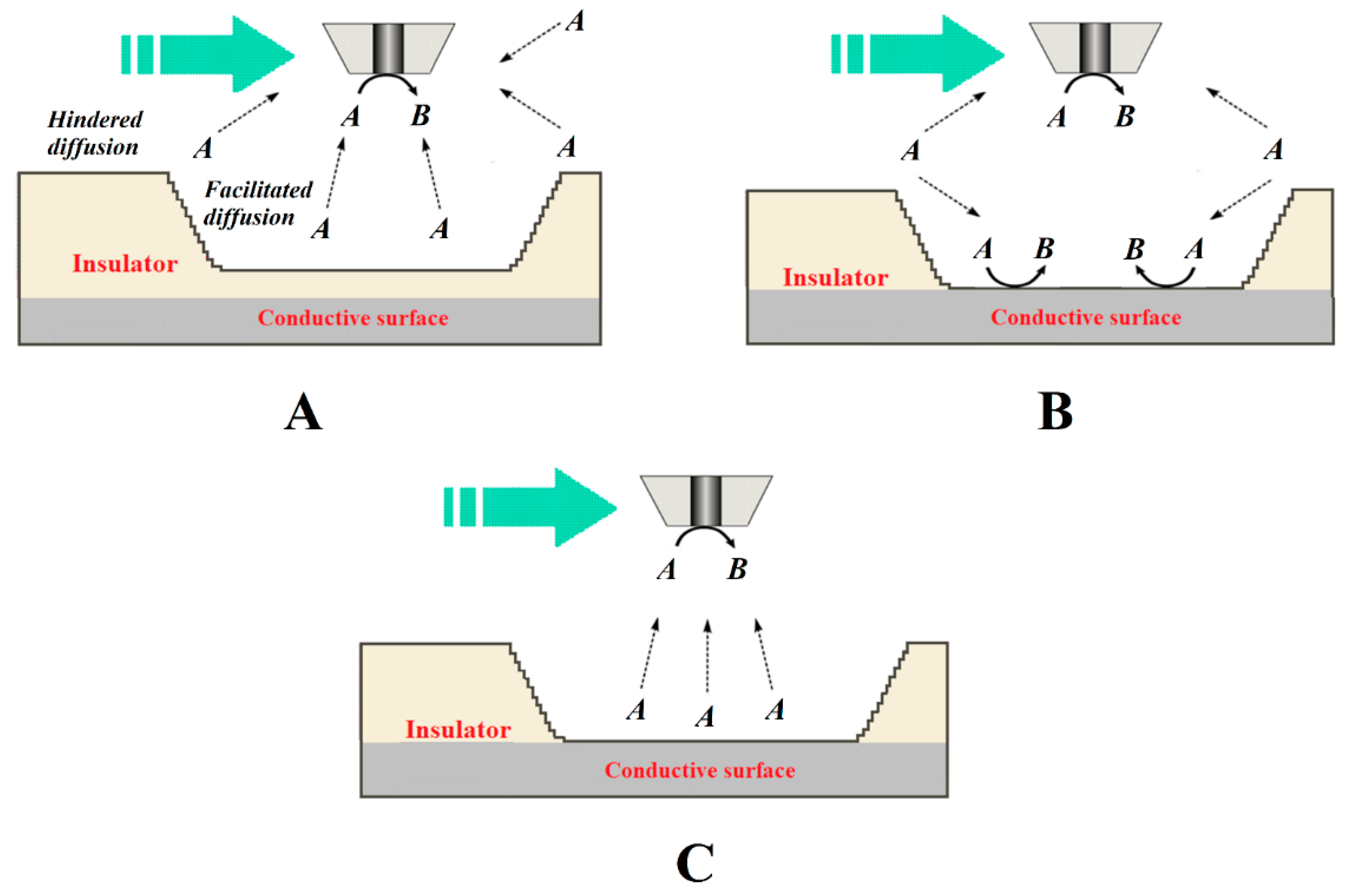 Coatings 12 00637 g008 550