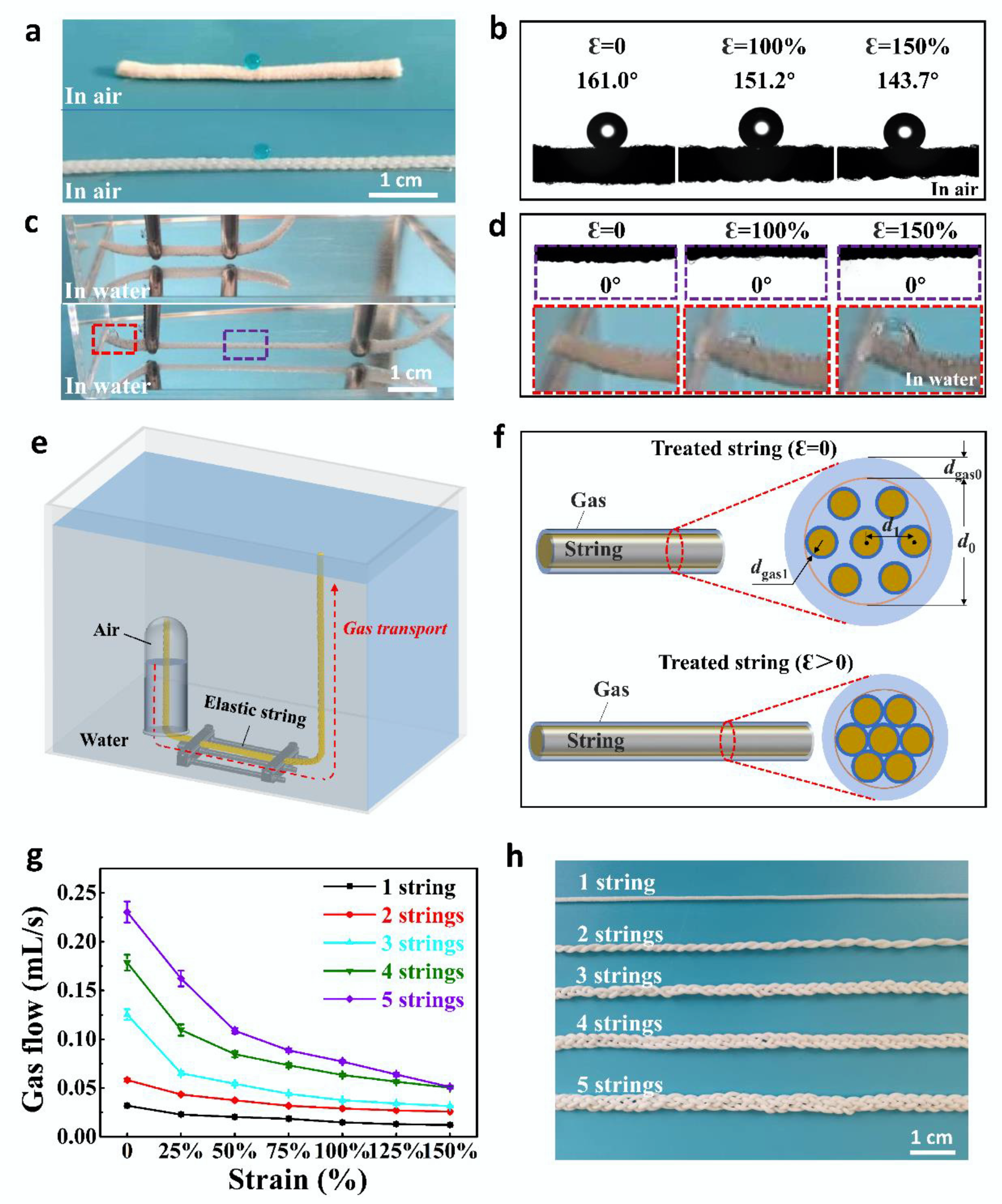 Coatings 12 00638 g003 Coatings 12 00638 g003
