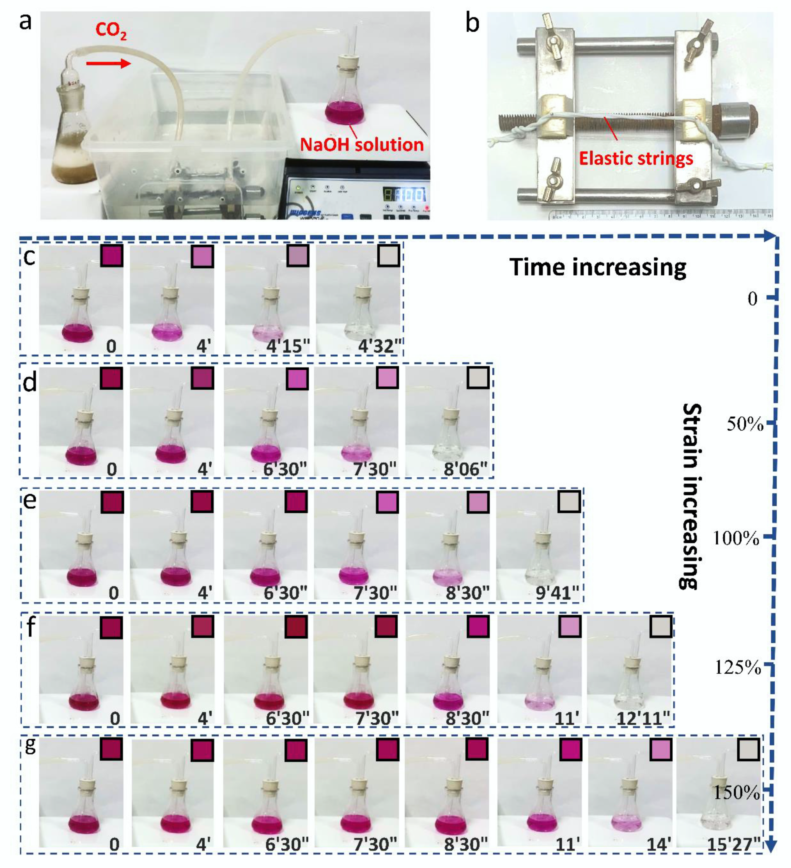 Coatings 12 00638 g004 Coatings 12 00638 g004