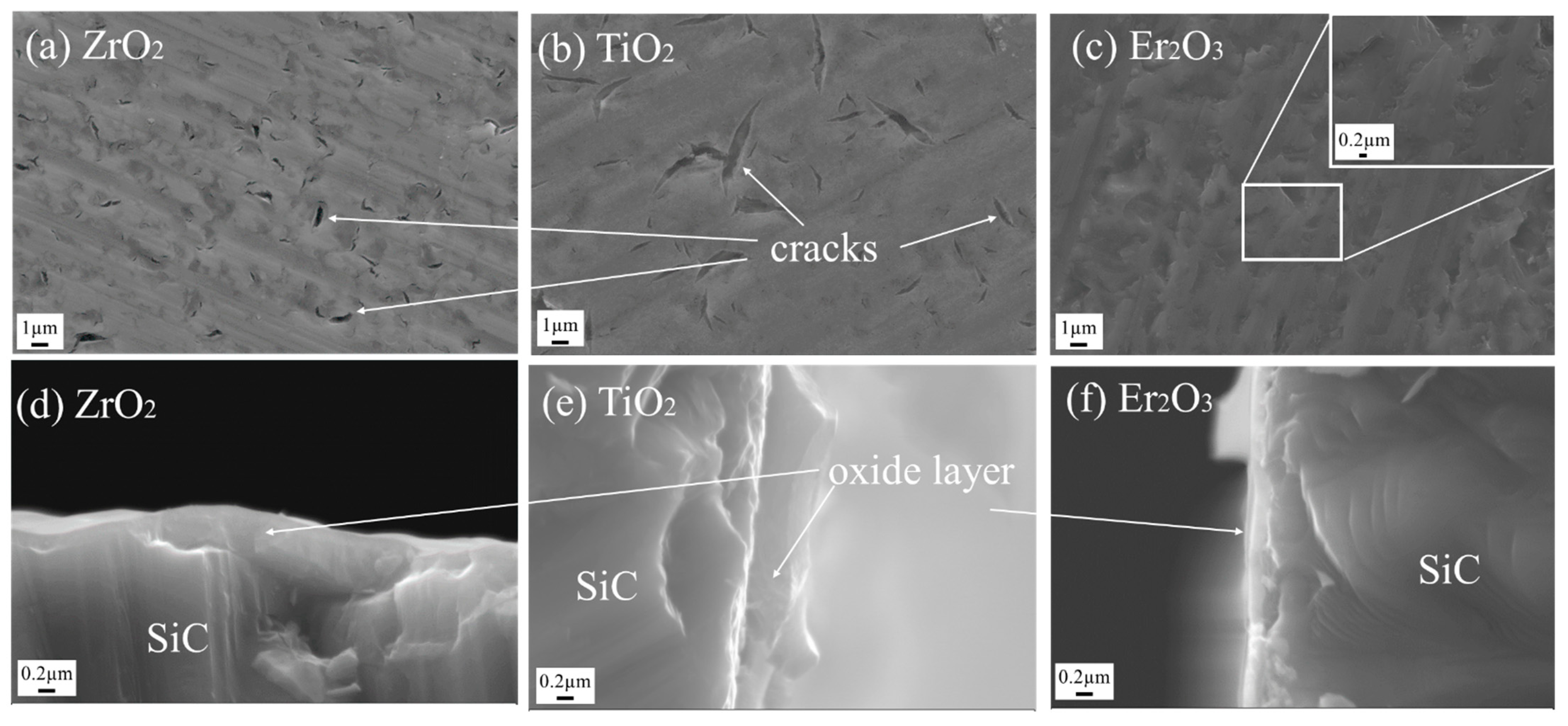 Coatings 12 00639 g004 Coatings 12 00639 g004