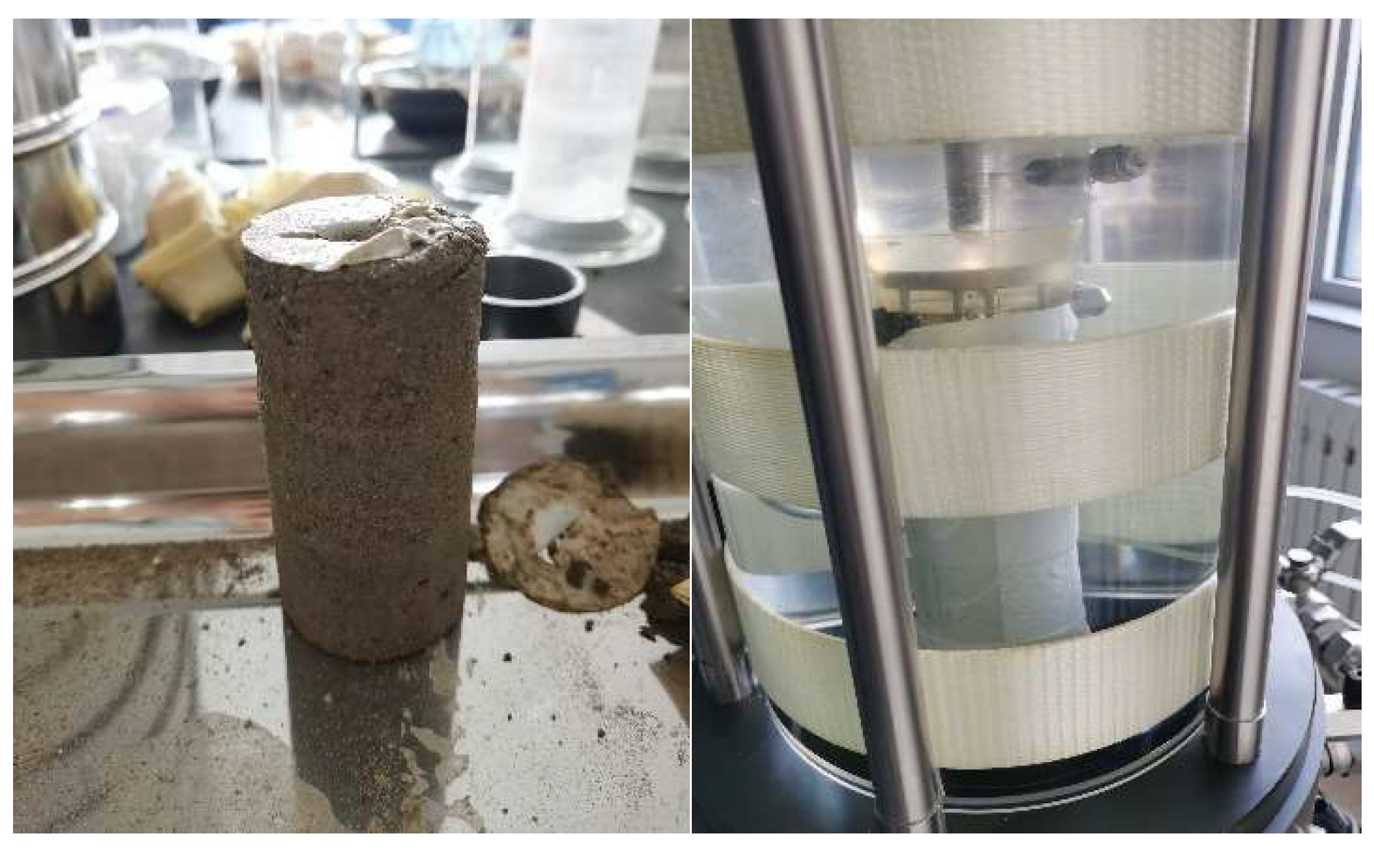 Coatings 12 00640 g005 550