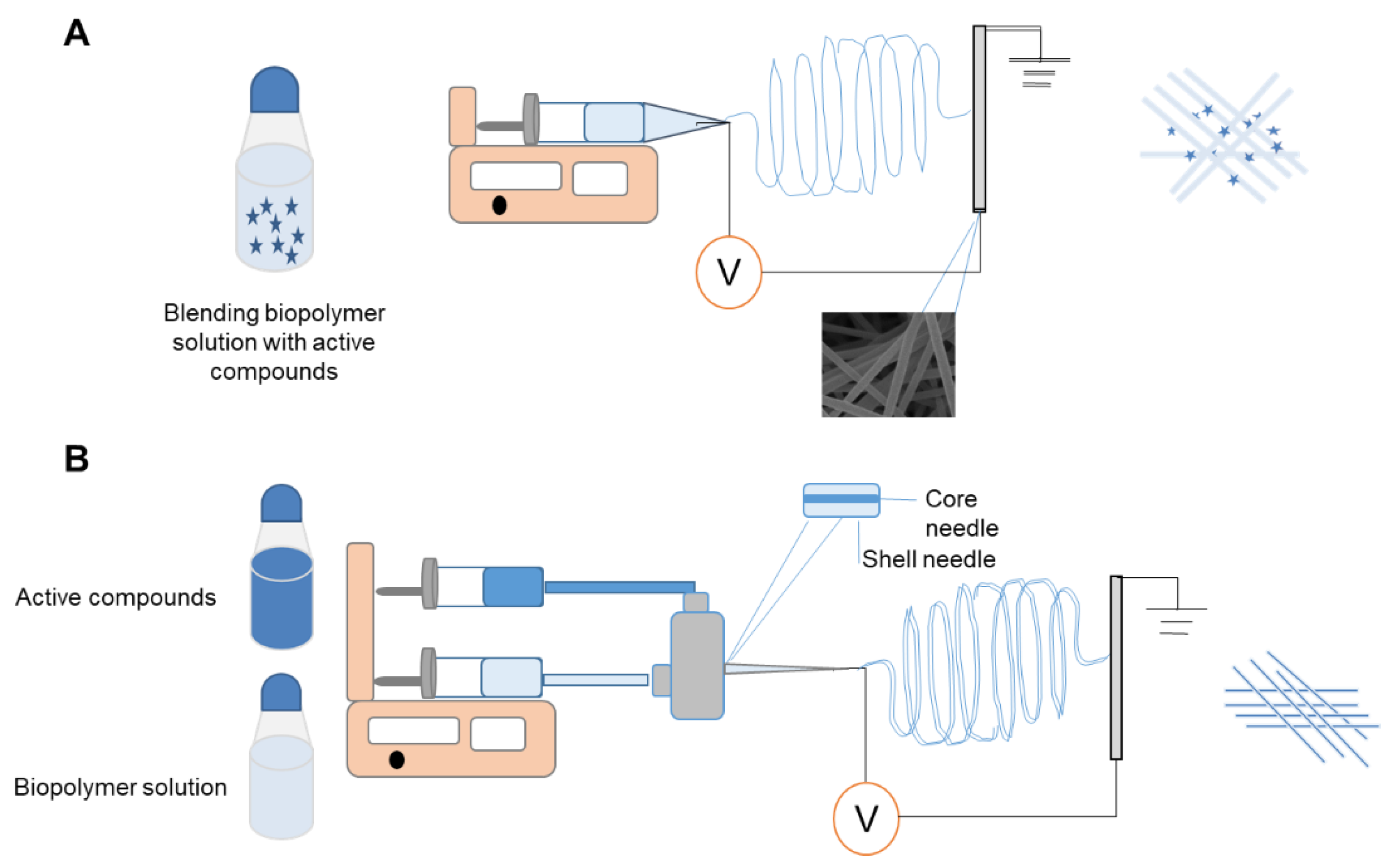 Coatings 12 00644 g001