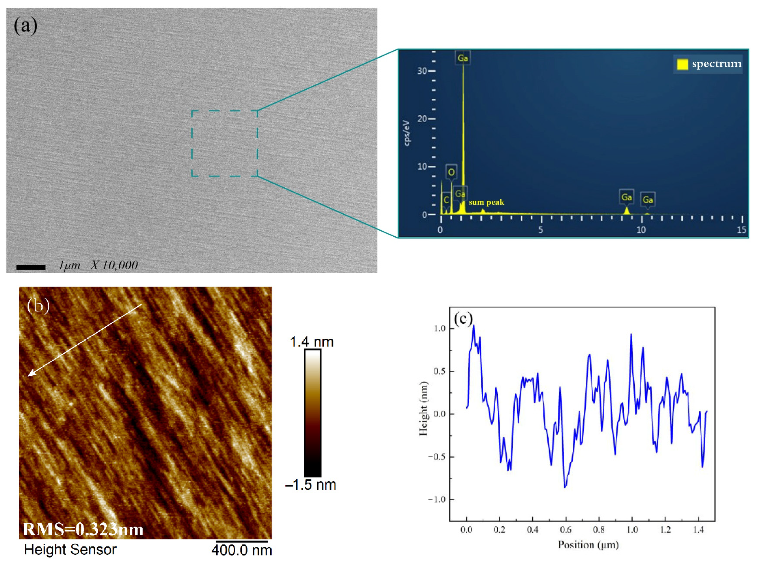 Coatings 12 00645 g003a 550