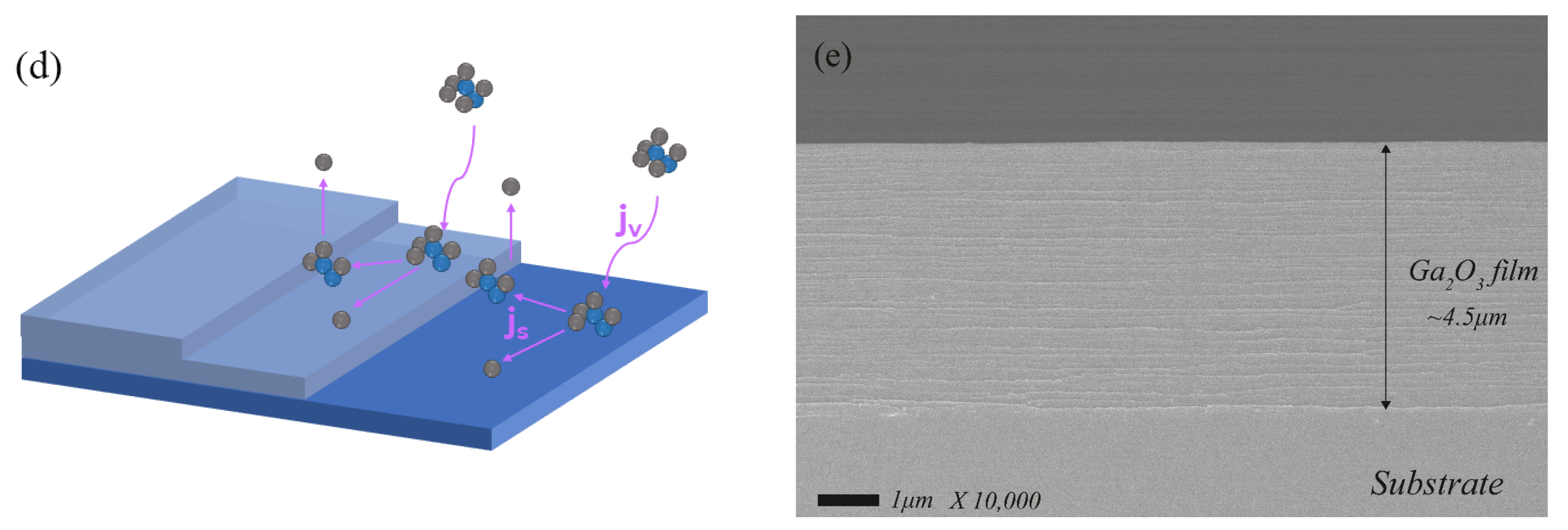 Coatings 12 00645 g003b 550