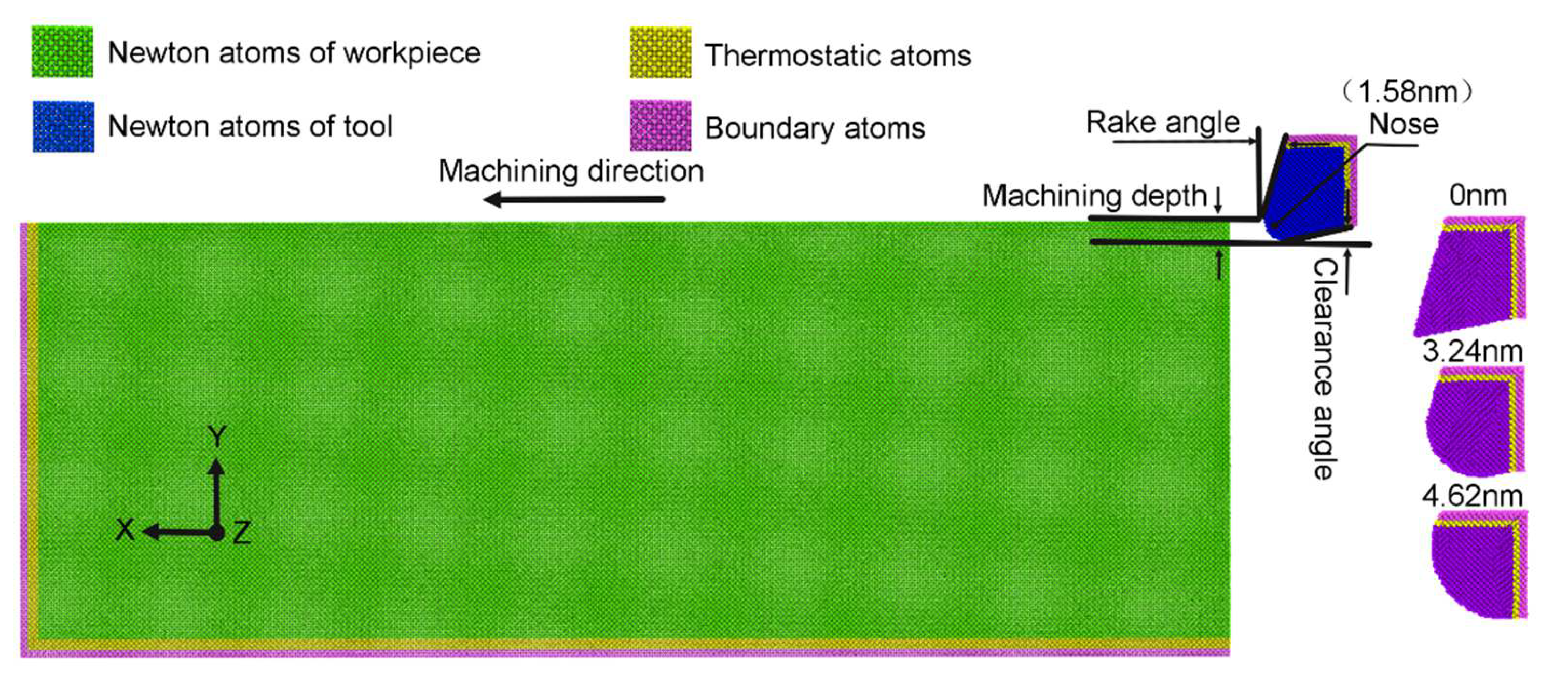 優待特典一覧 Simulation Dynamics Molecular of in Morphology Chip Nintendo Switch