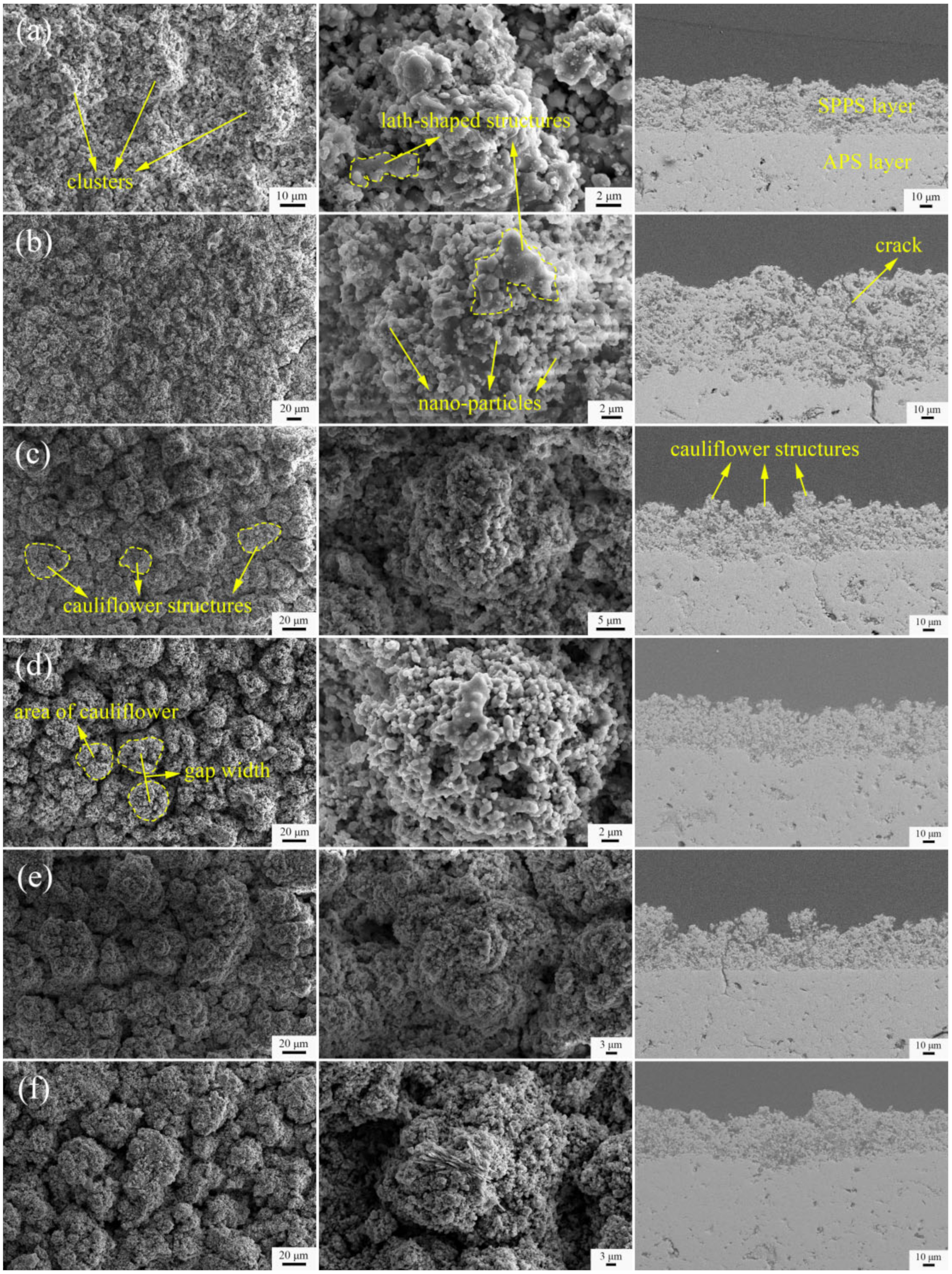 Coatings 12 00648 g003 550
