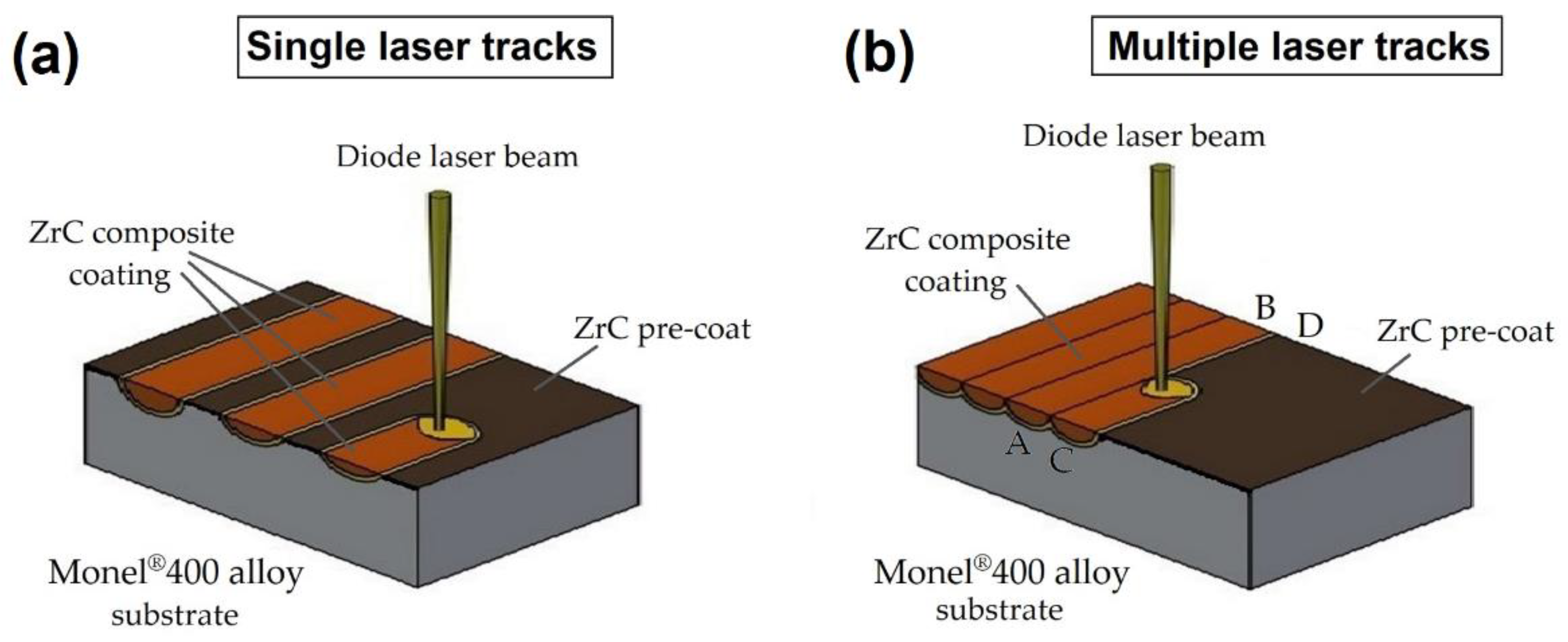 Coatings 12 00651 g003 550