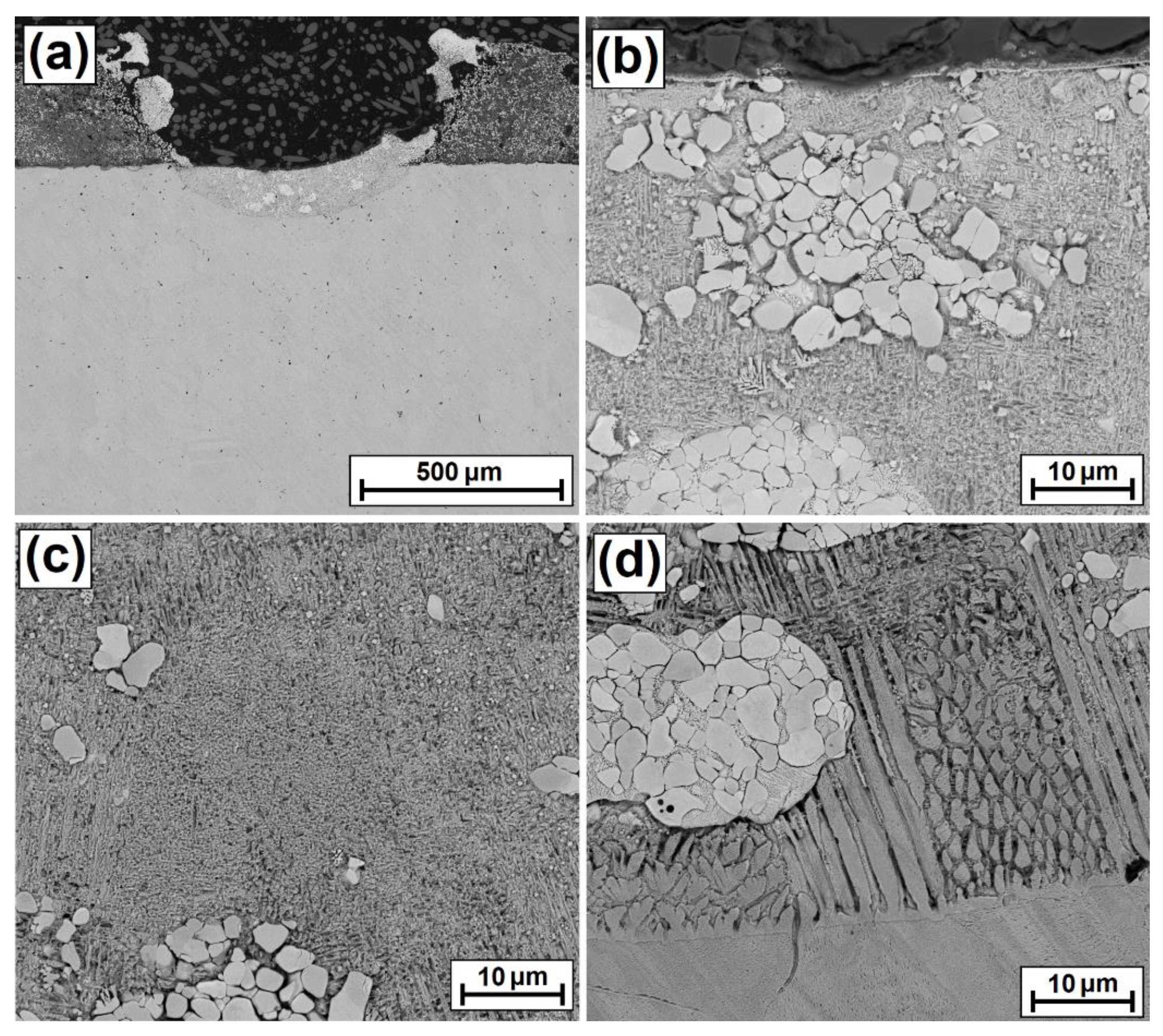 Coatings 12 00651 g004 550