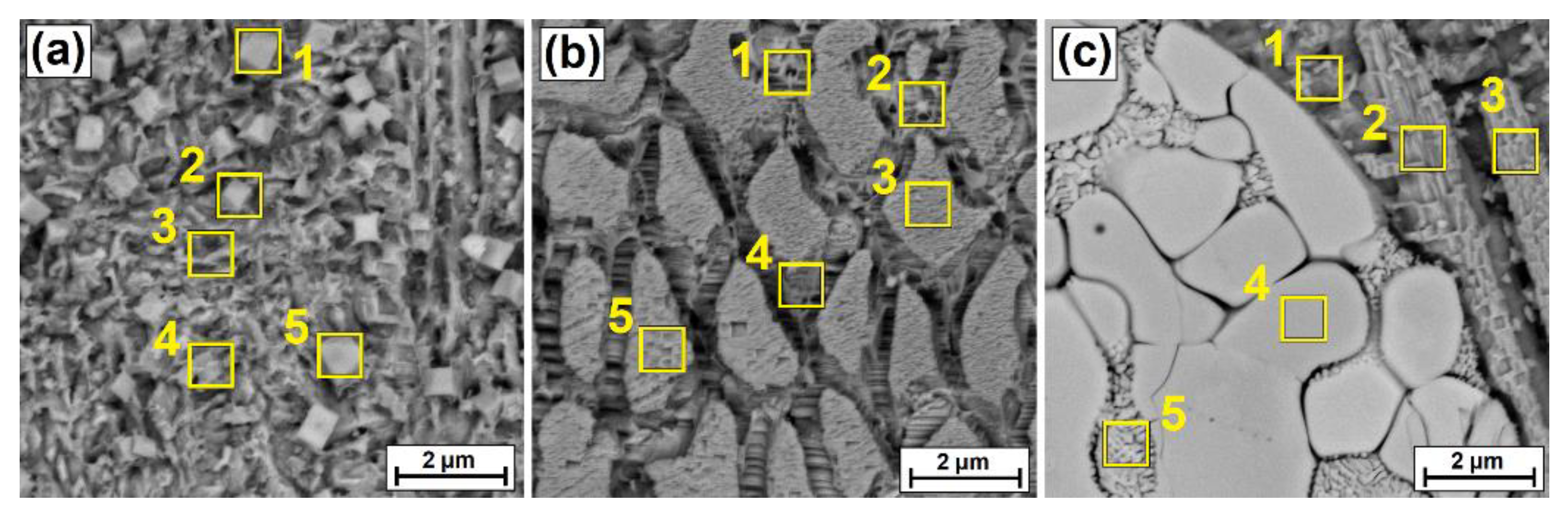 Coatings 12 00651 g005 550