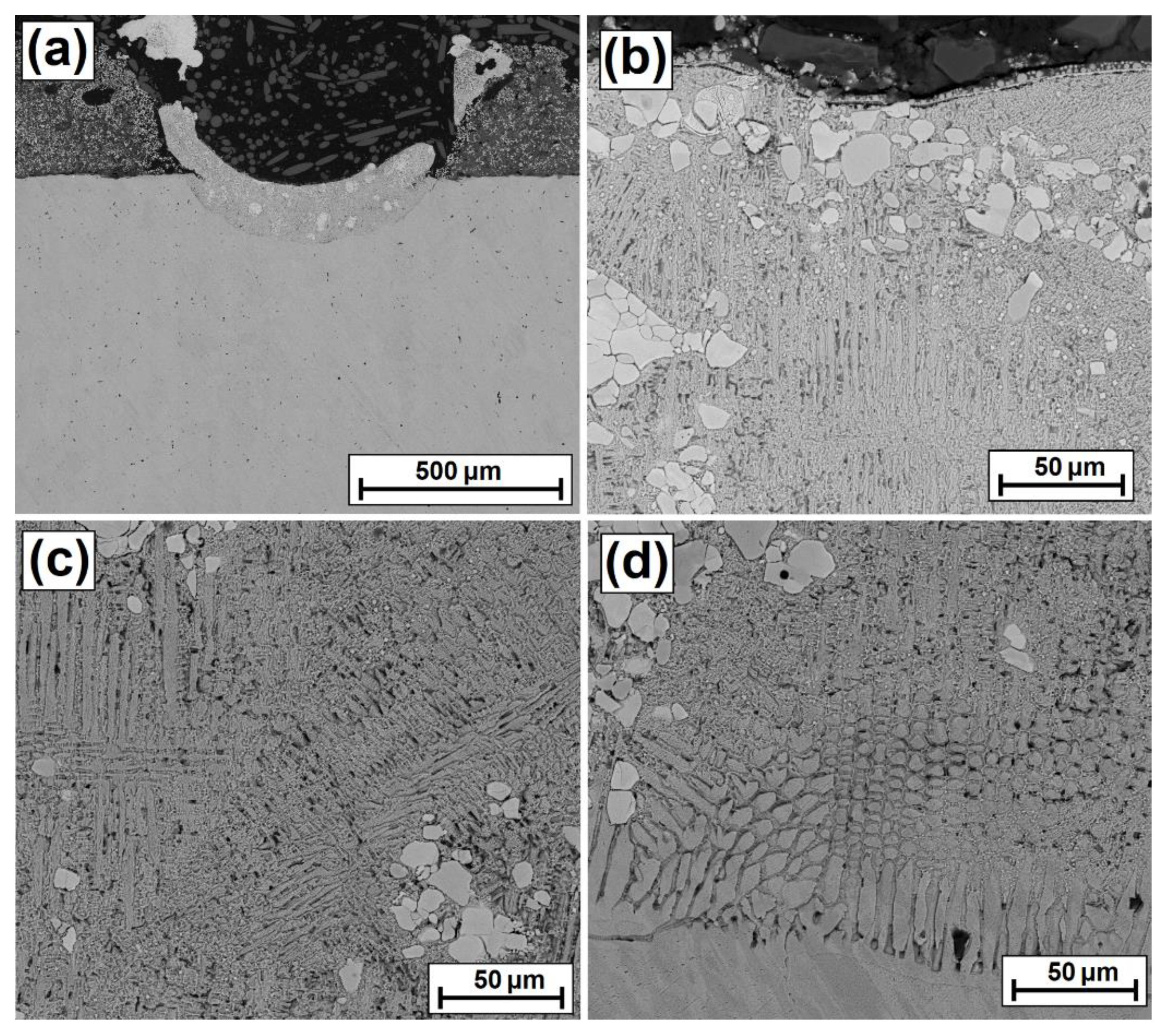 Coatings 12 00651 g006 550