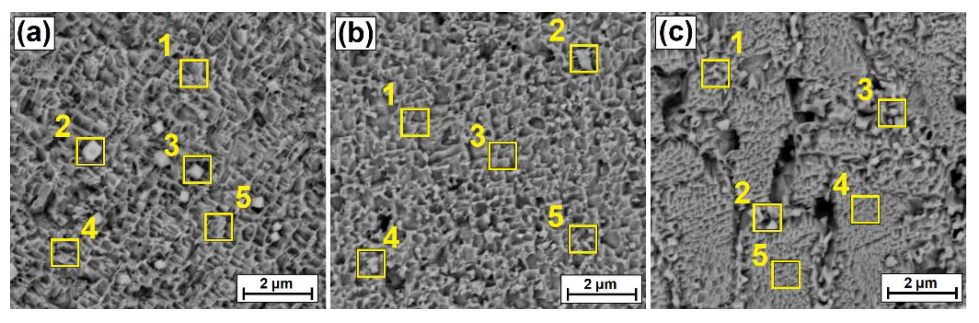 Coatings 12 00651 g009 550