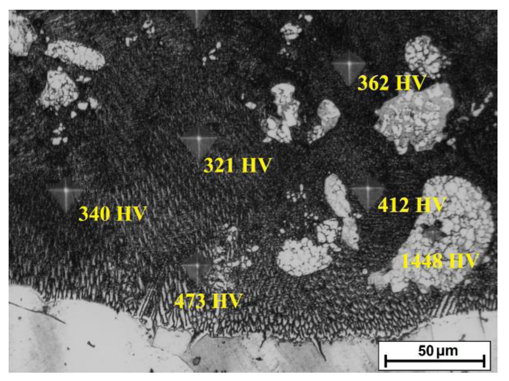 Coatings 12 00651 g013 550