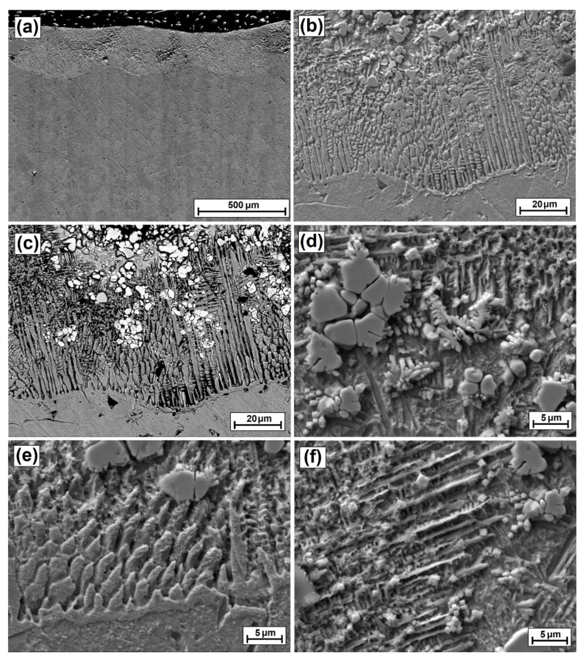 Coatings 12 00651 g014 550