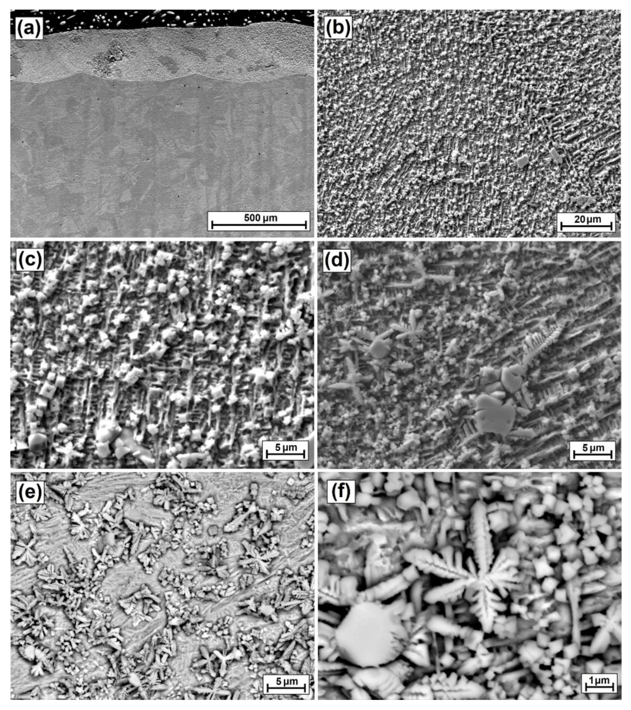 Coatings 12 00651 g015 550