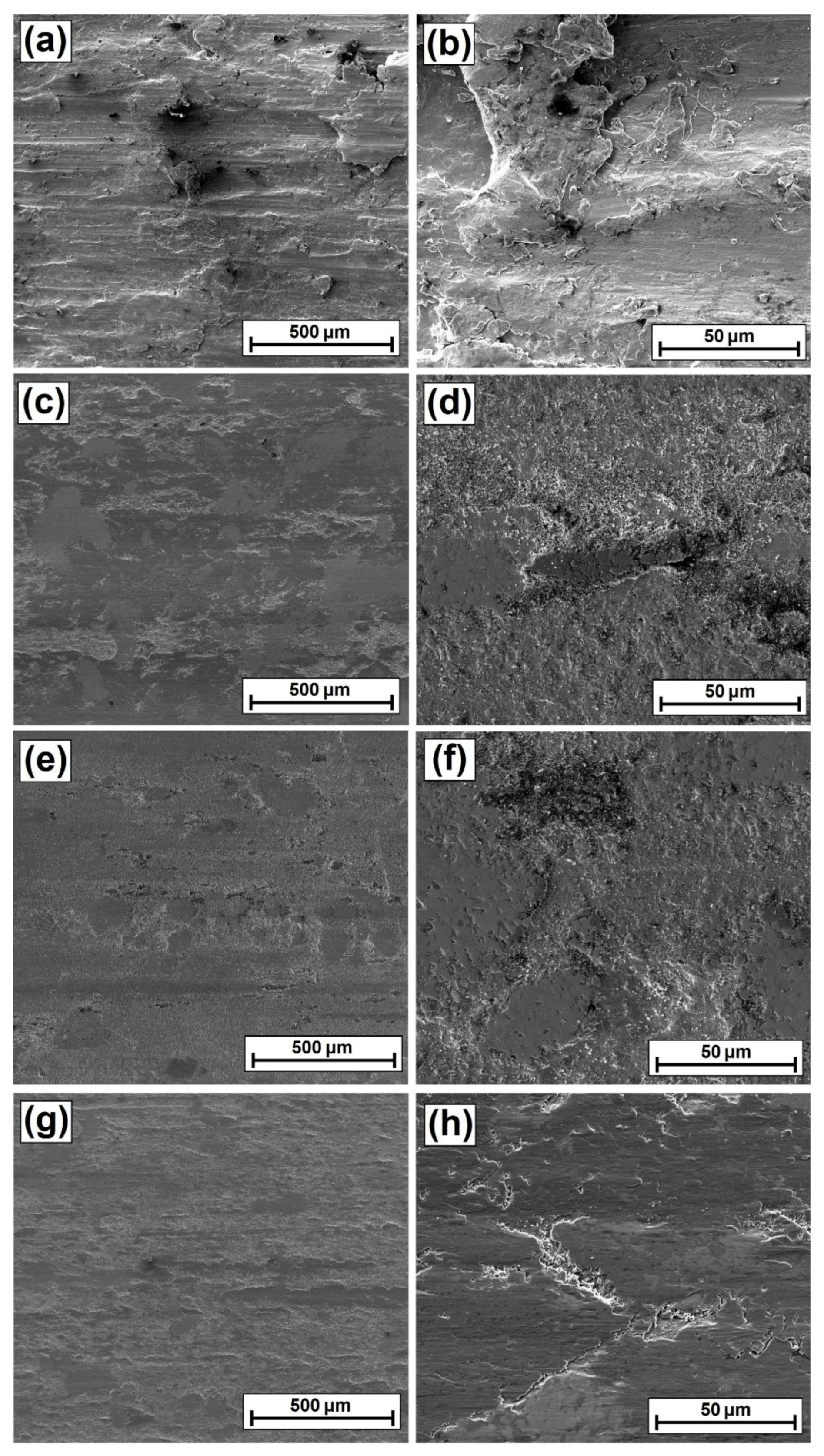 Coatings 12 00651 g021 550