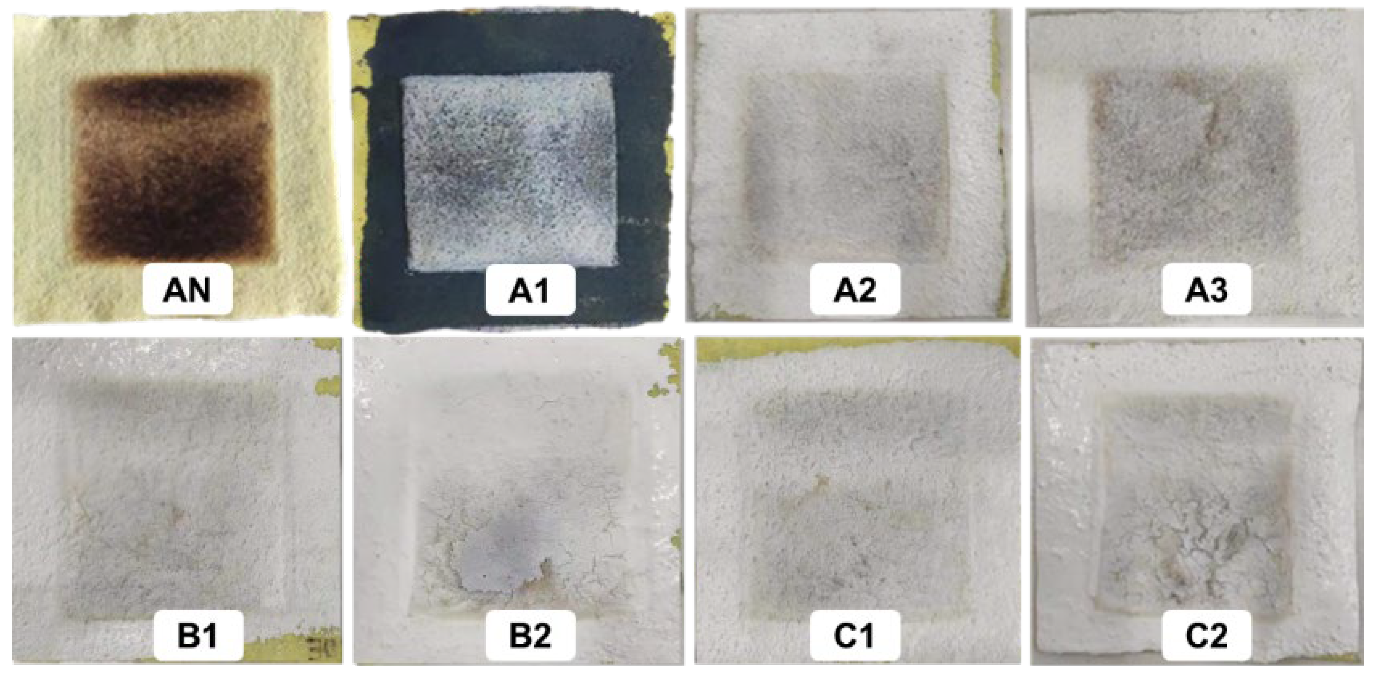 Coatings 12 00657 g007