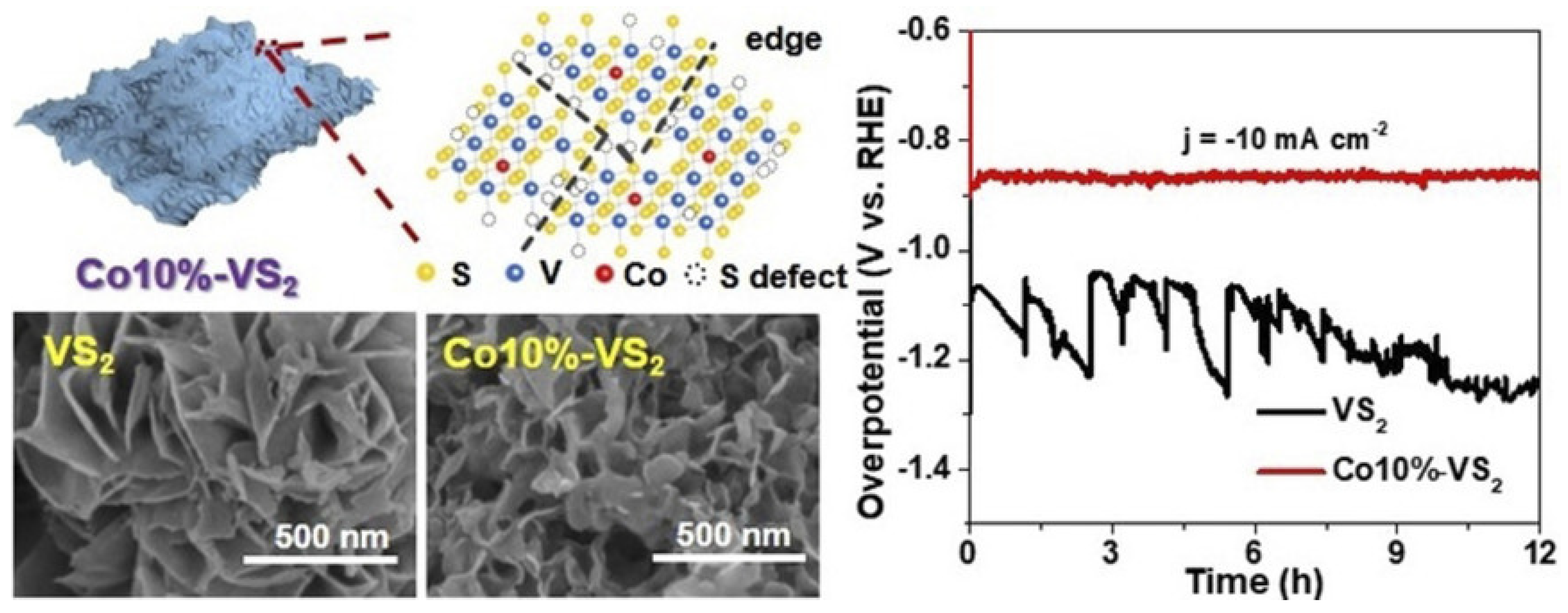 Coatings 12 00659 g002 550
