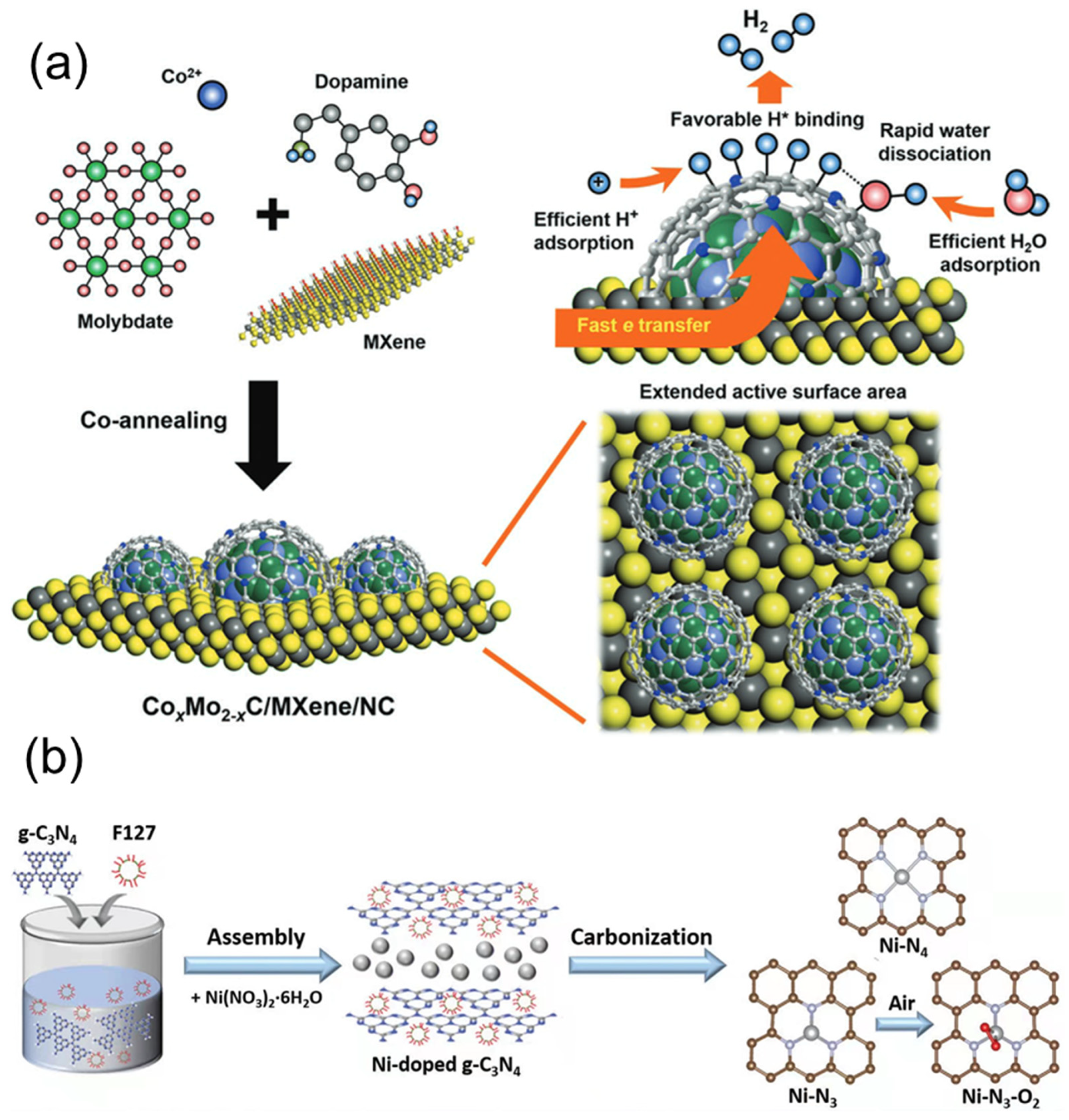 Coatings 12 00659 g004 550